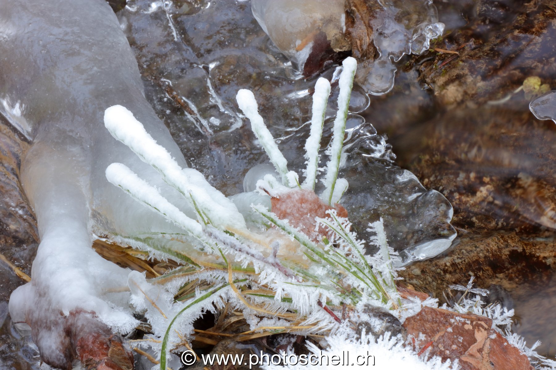 Gérignoz et sa glace hivernale