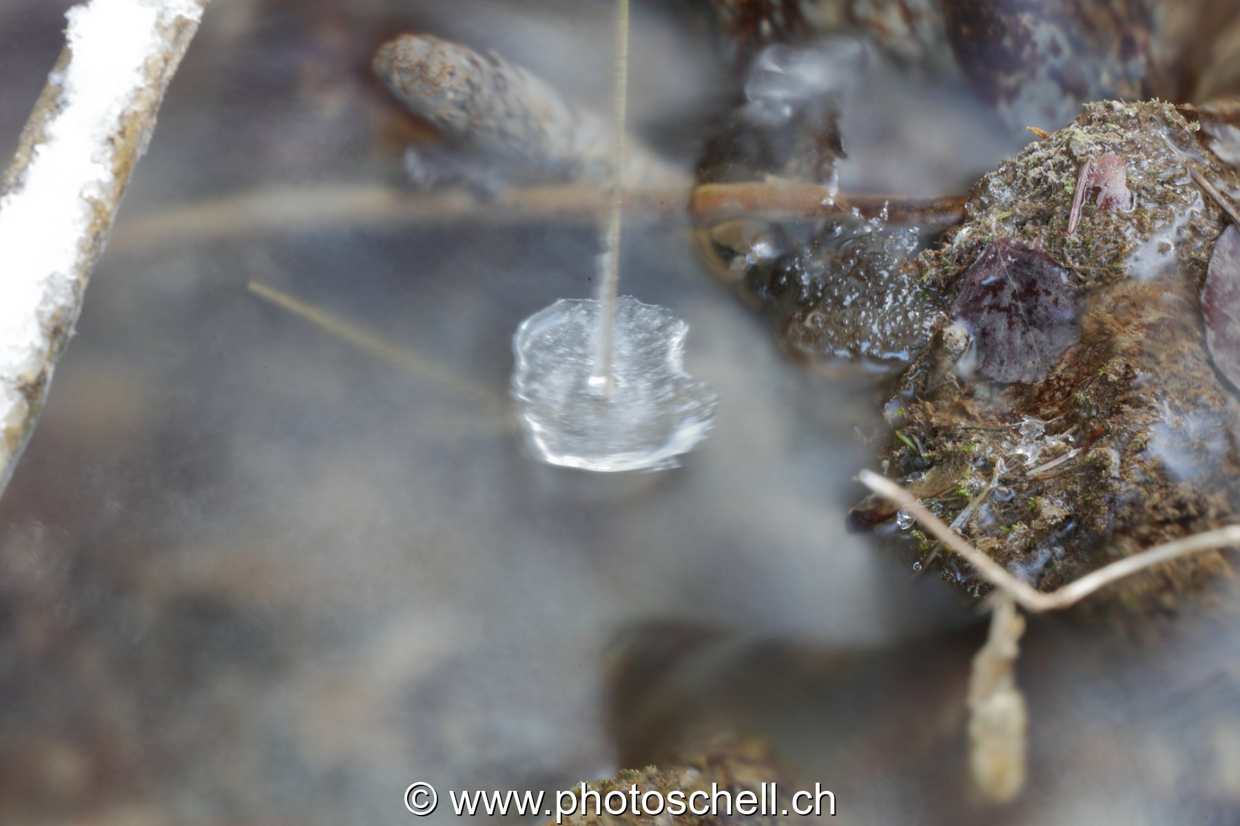 Gérignoz et sa glace hivernale
