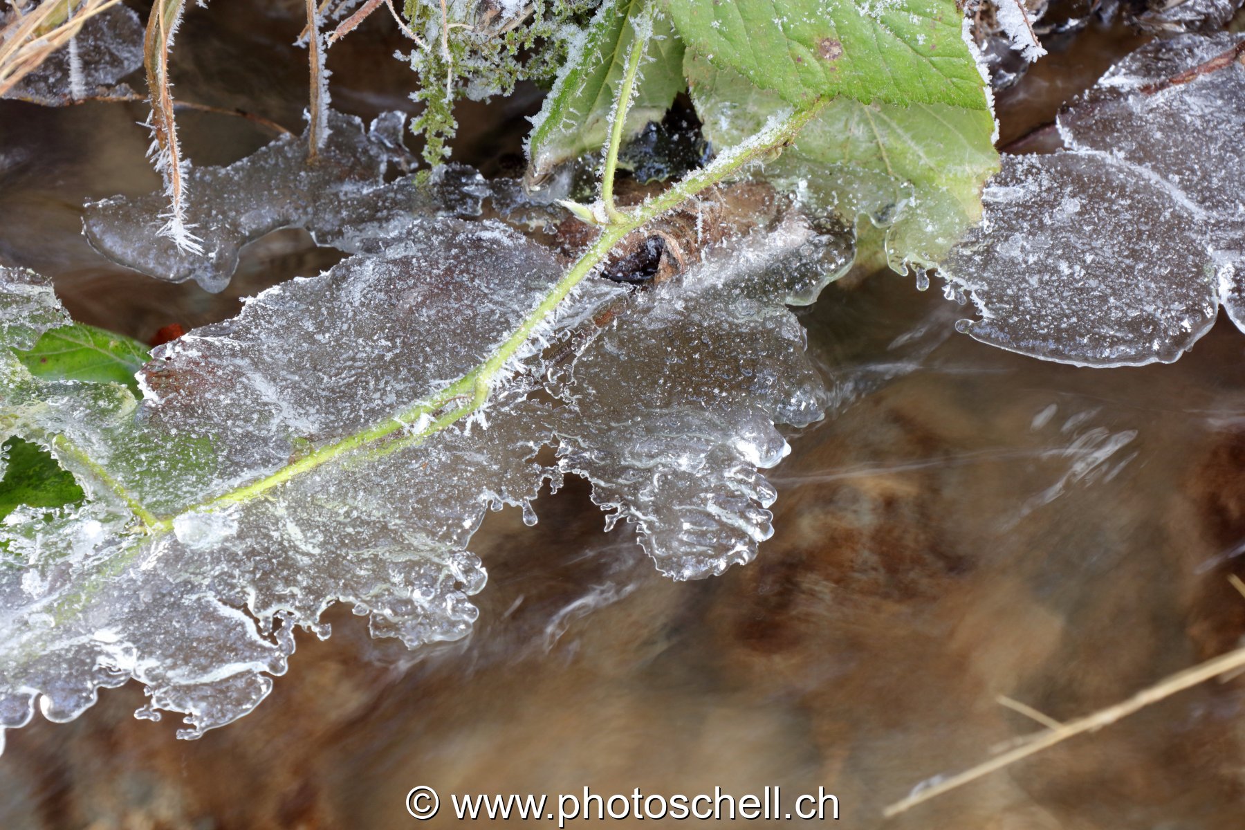 Gérignoz et sa glace hivernale