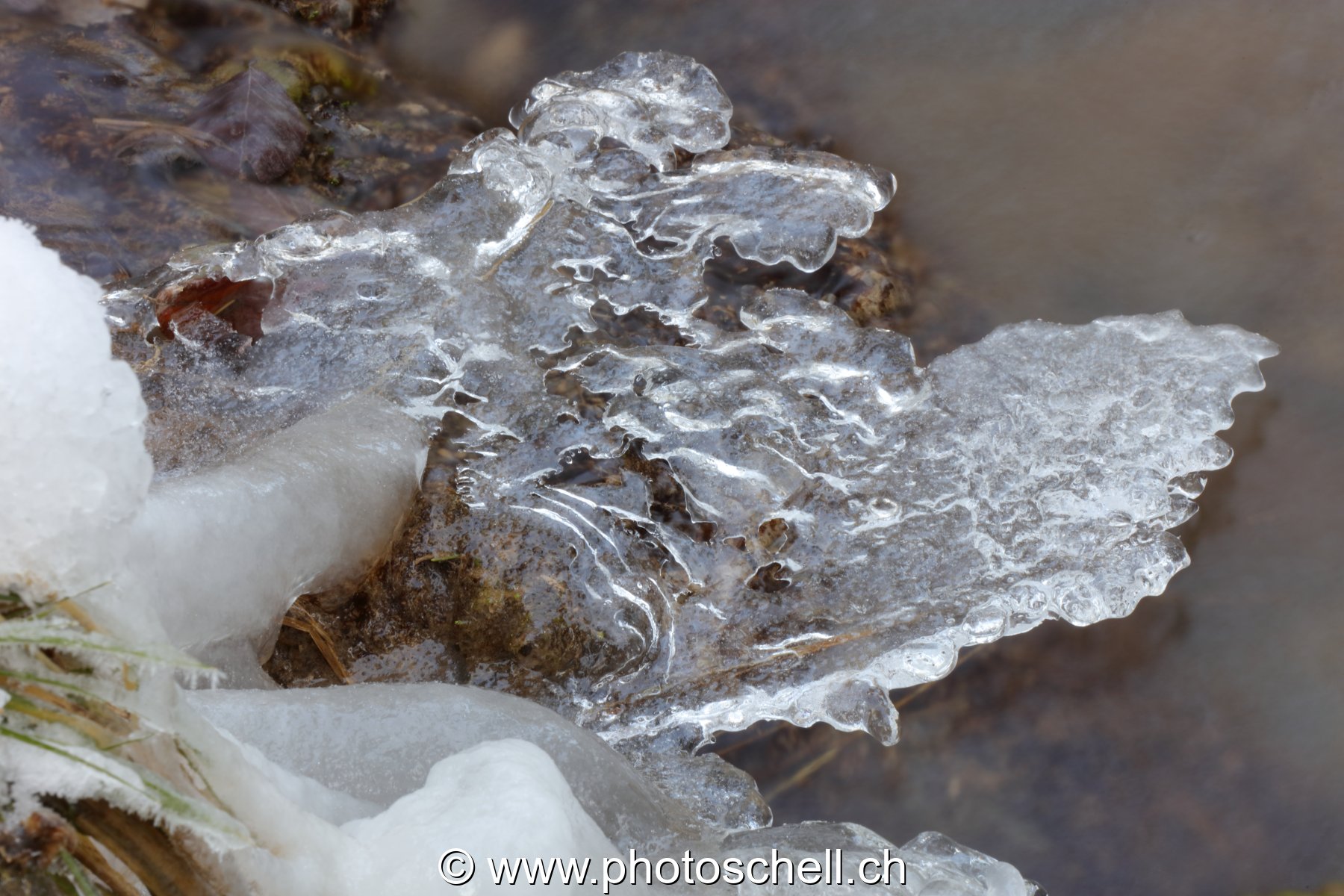 Gérignoz et sa glace hivernale