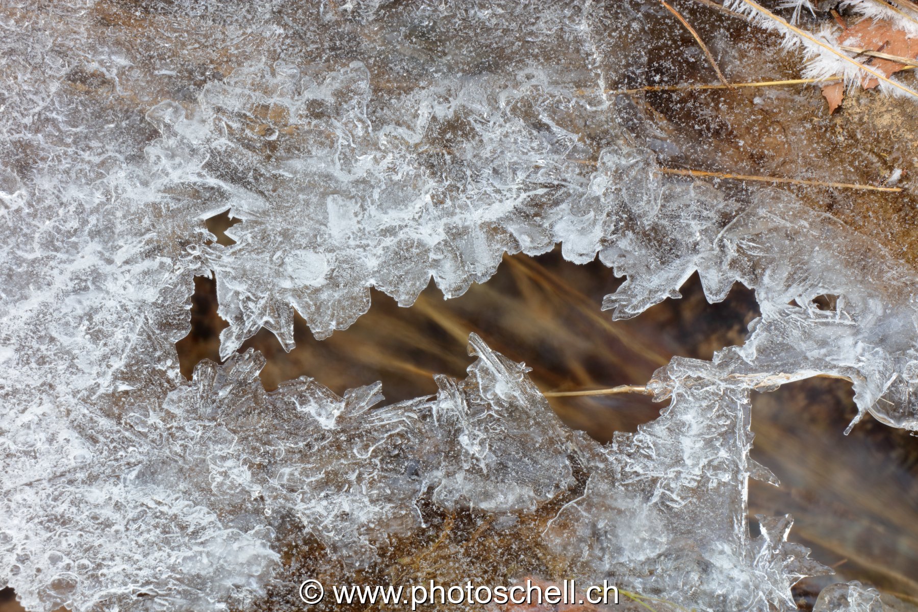 Gérignoz et sa glace hivernale