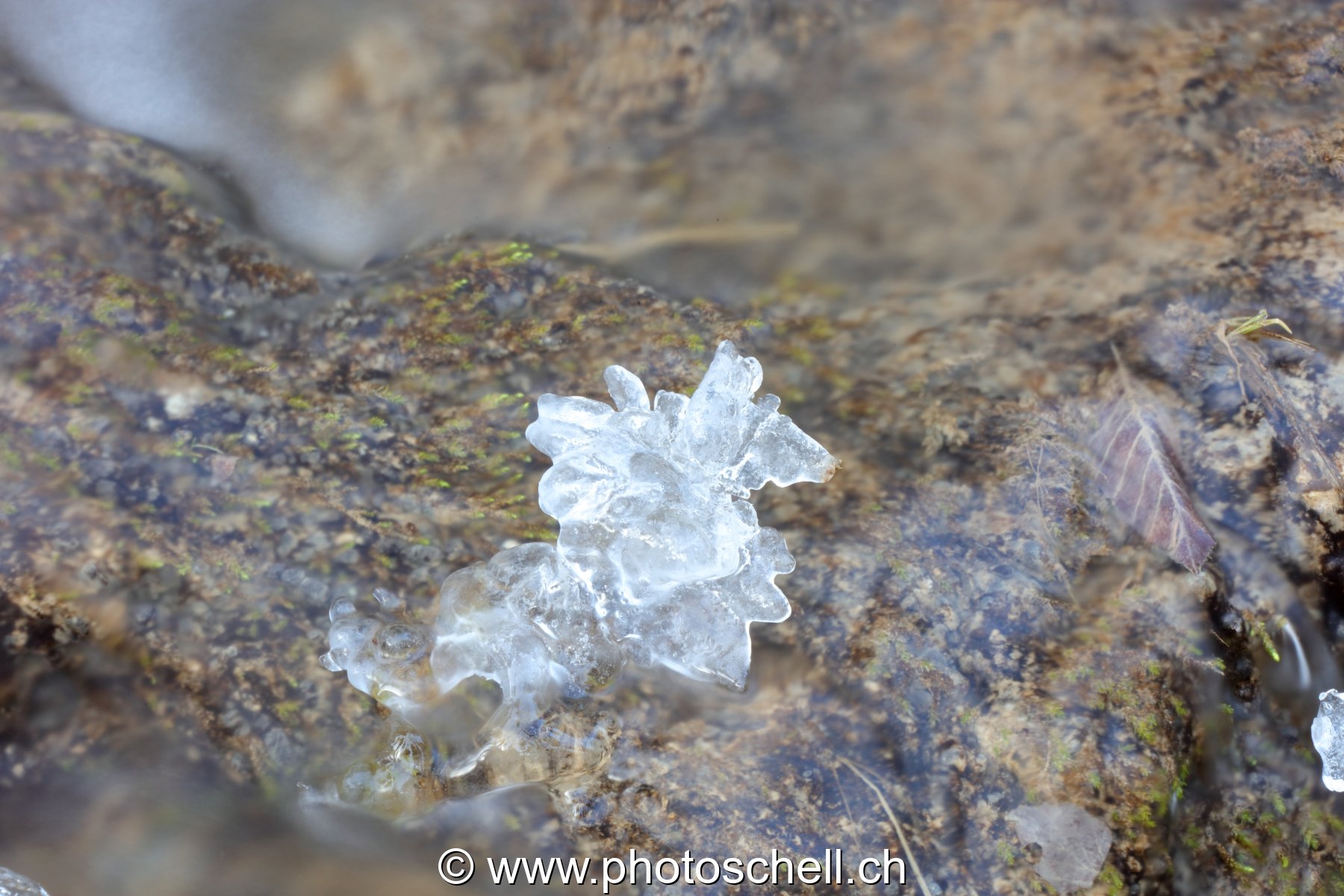 Gérignoz et sa glace hivernale