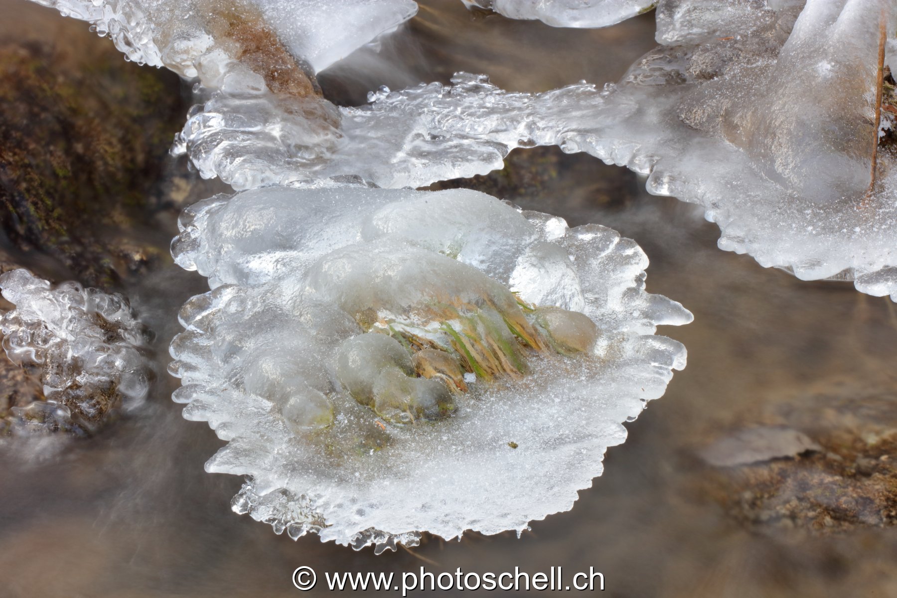 Gérignoz et sa glace hivernale