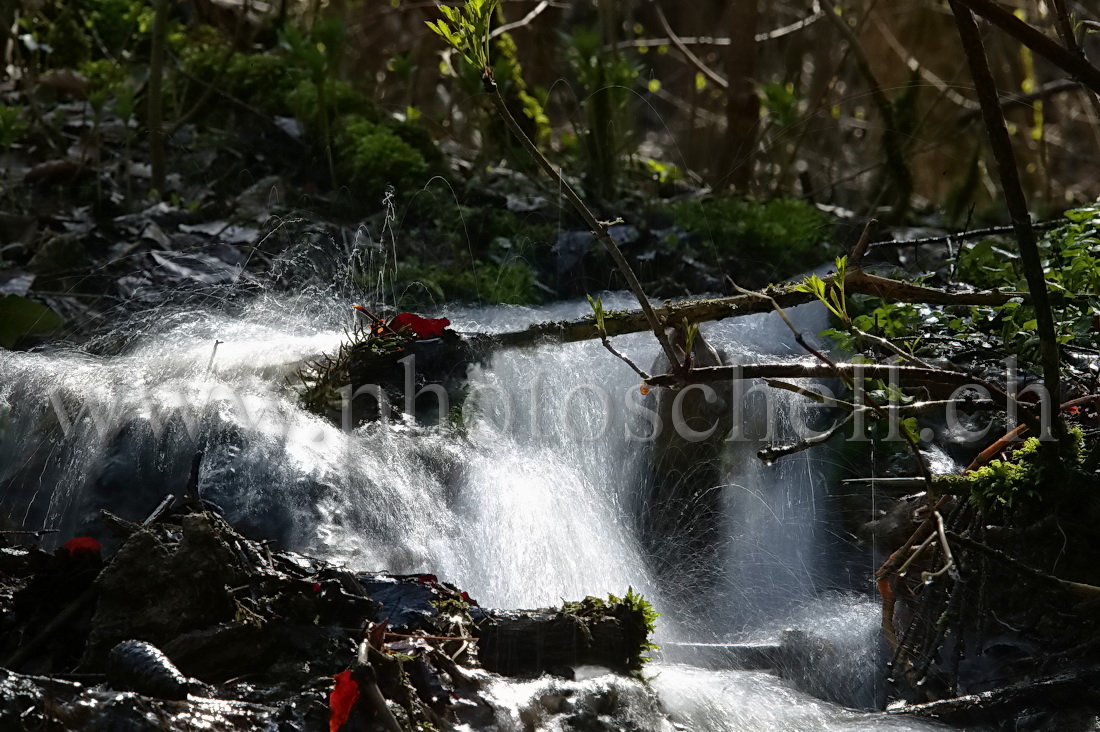 Petite cascade en contre-jour