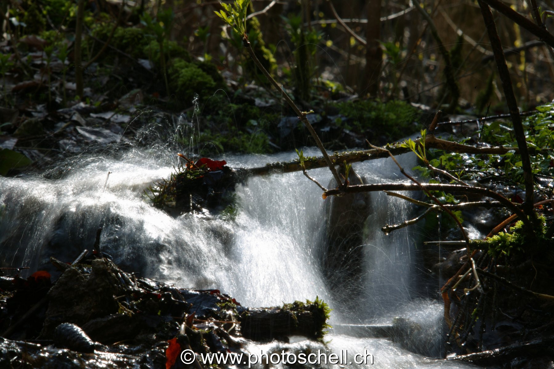 Petite cascade en contre-jour