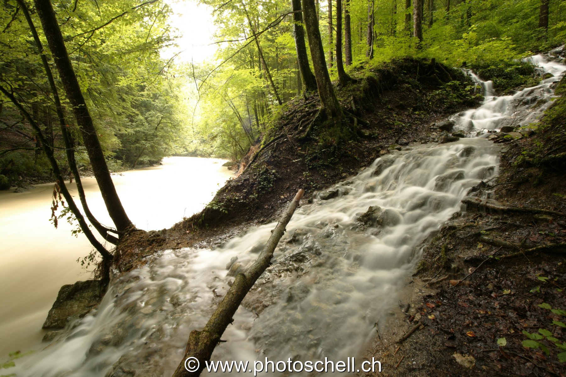 La Jogne en crue