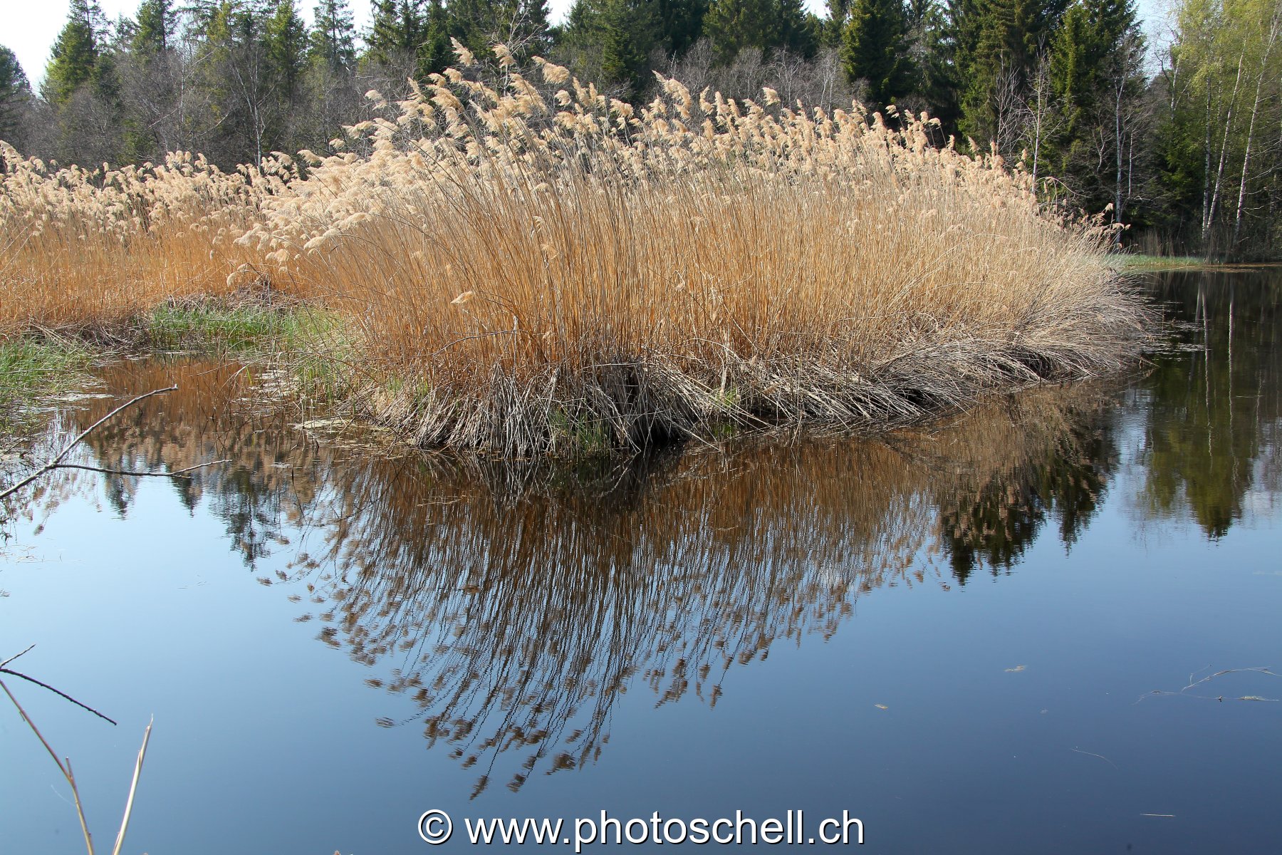 Photo 24