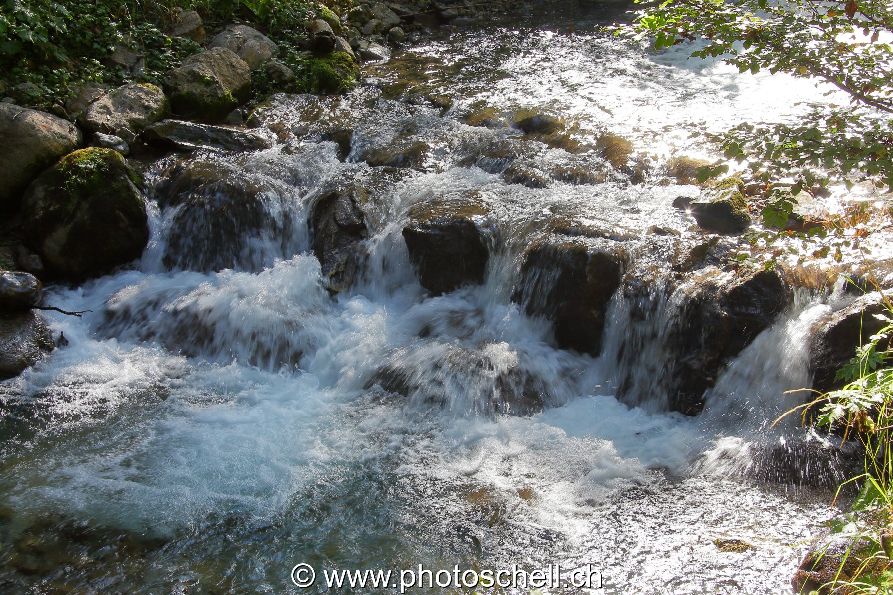 Photo 39
