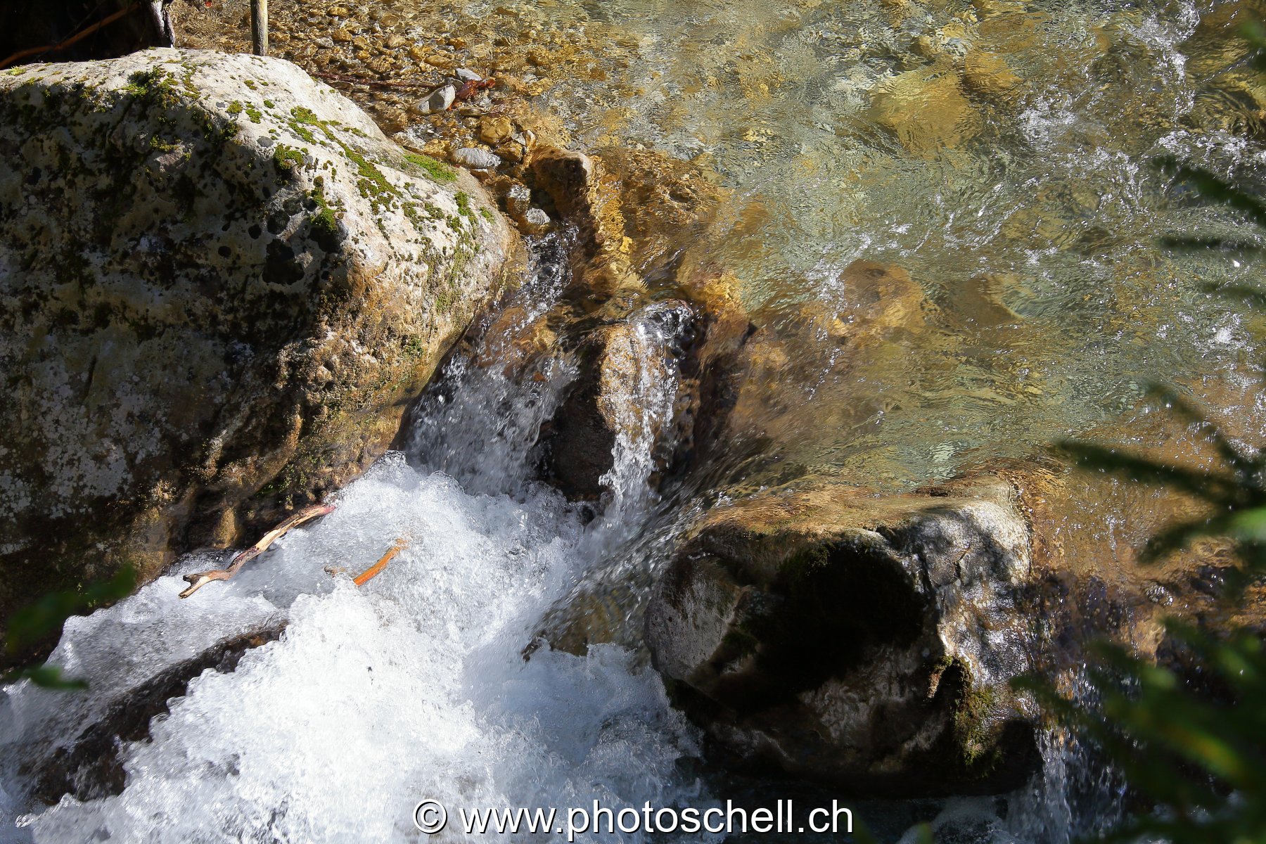 Photo 40
