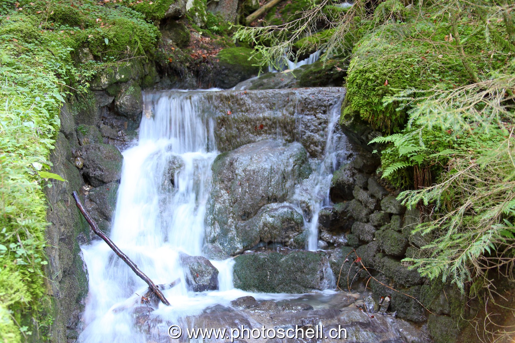 Photo 41