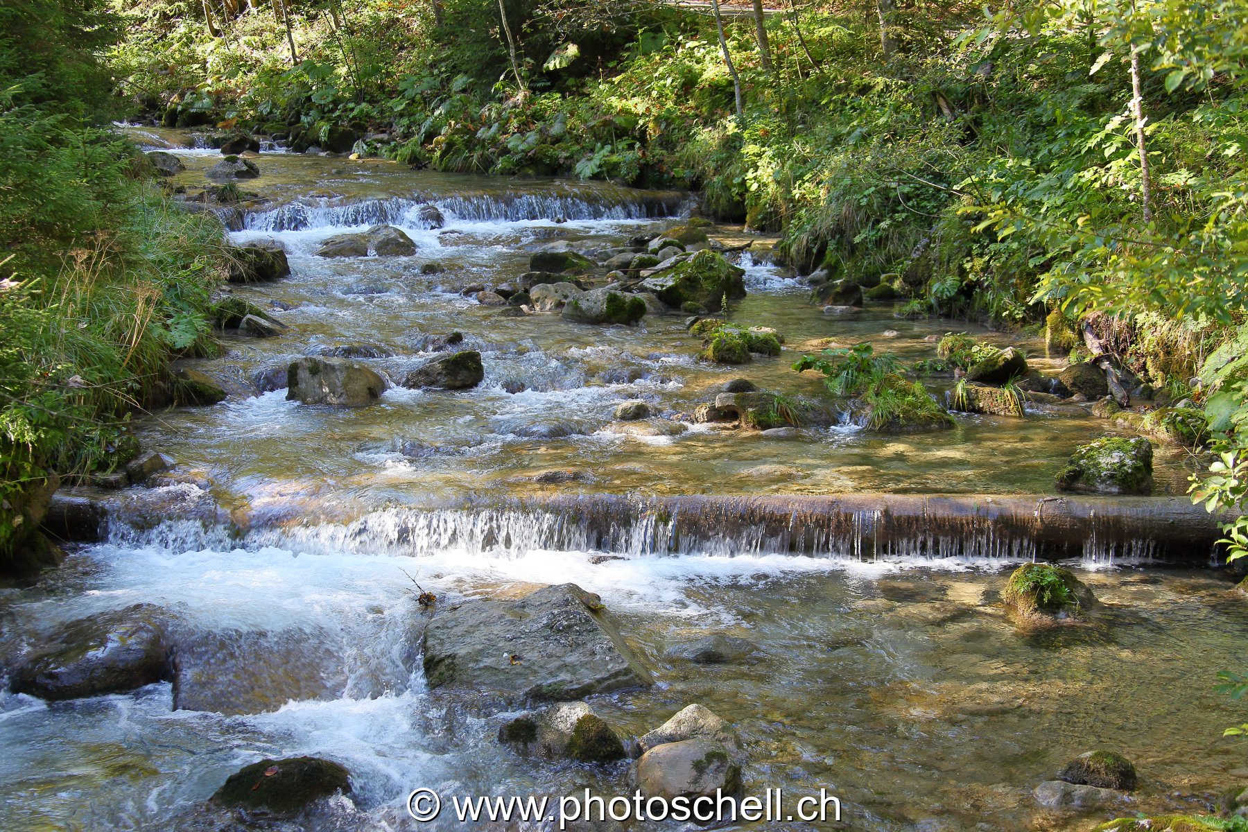 Photo 42