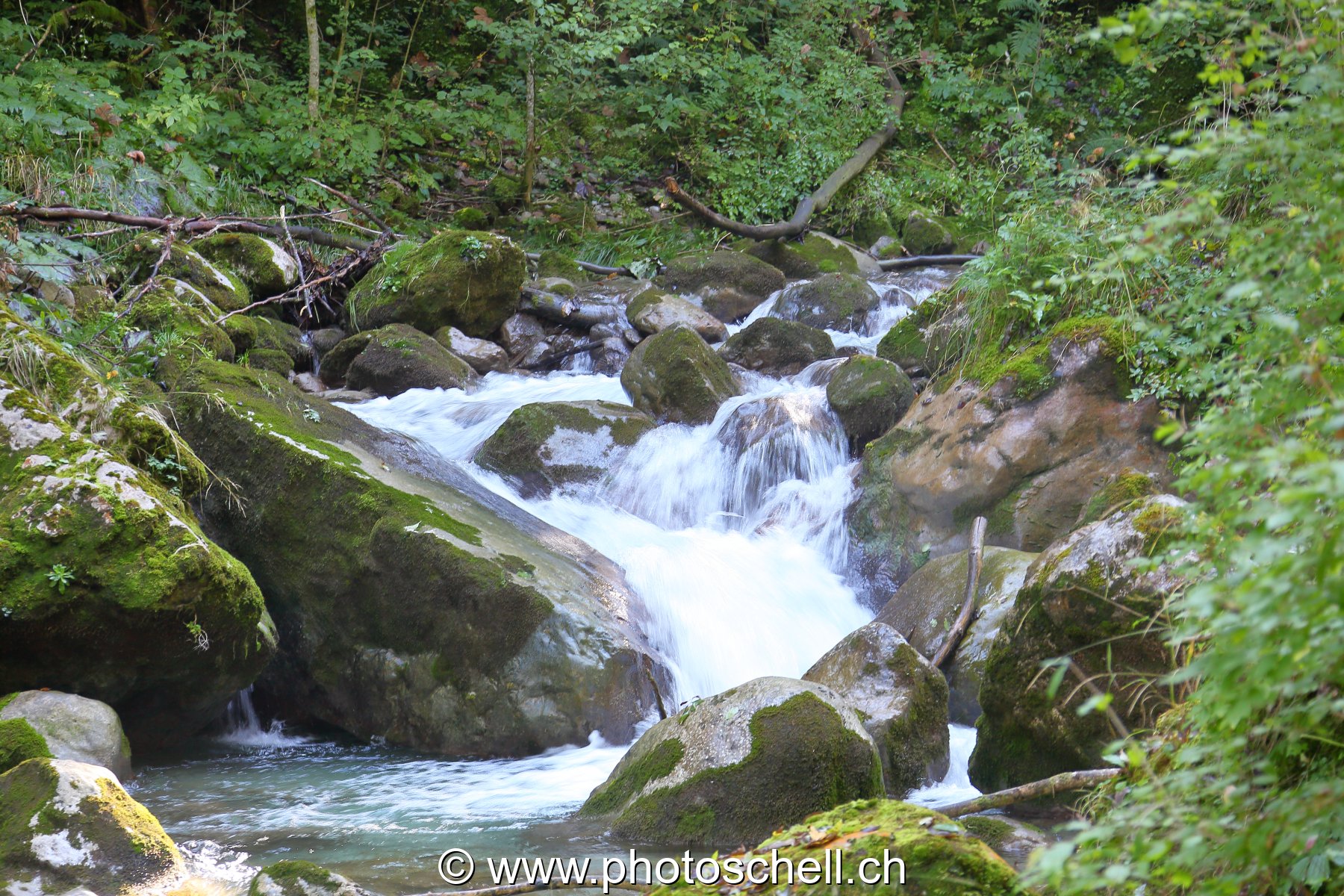 Photo 43
