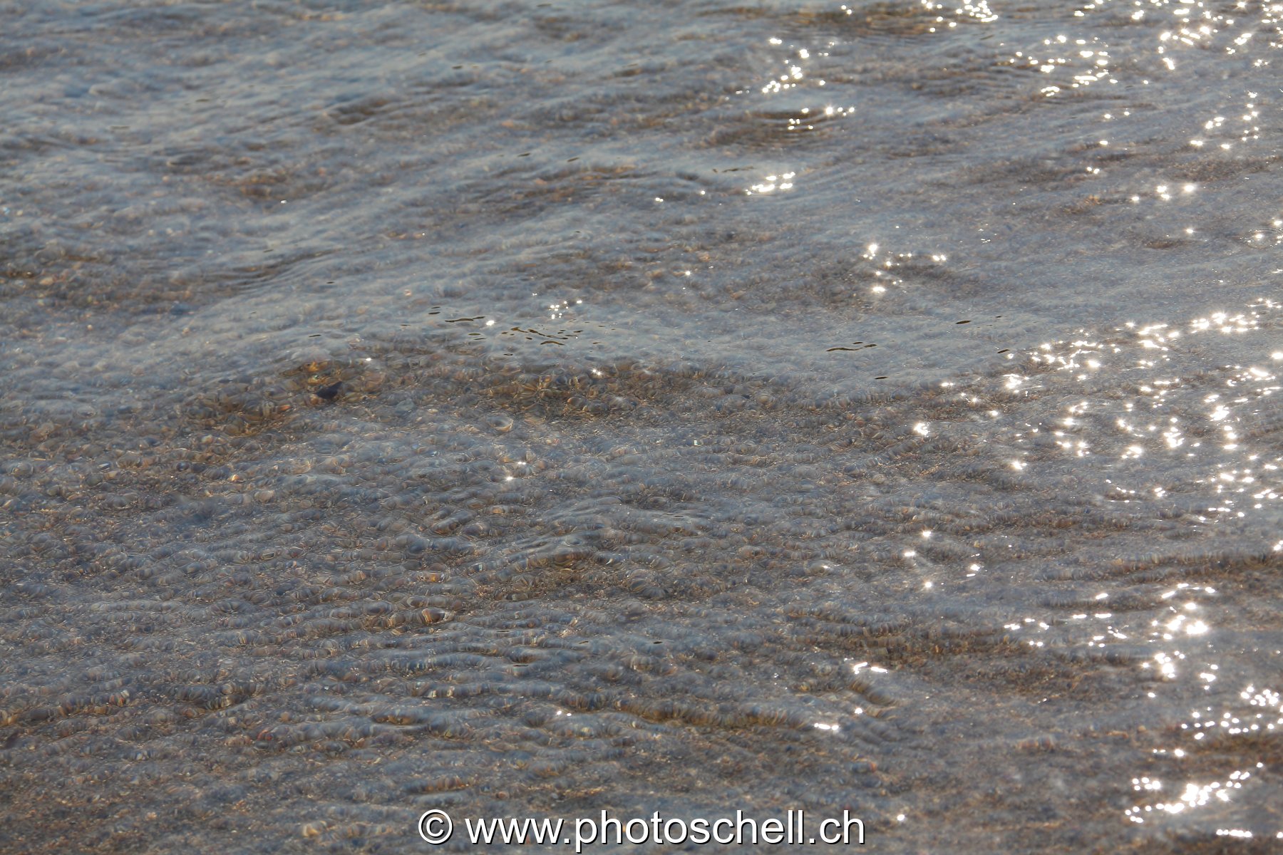 Reflets du soleil dans l'eau