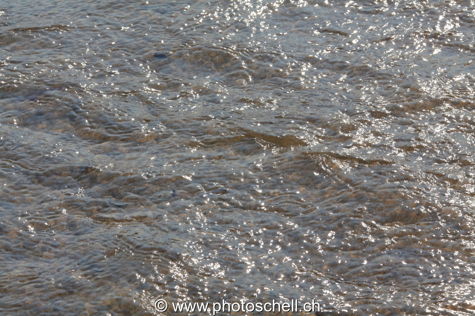 Reflets du soleil dans l'eau