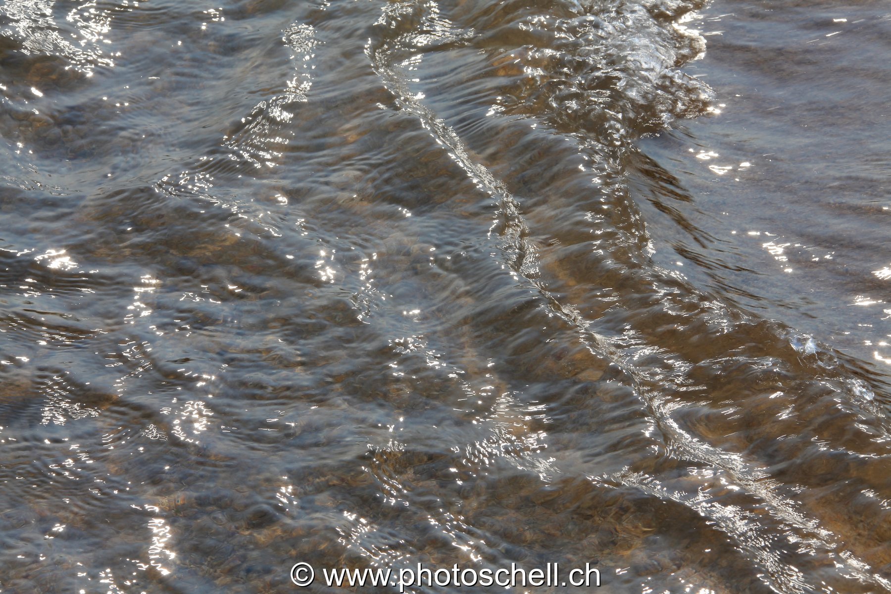 Reflets du soleil dans l'eau