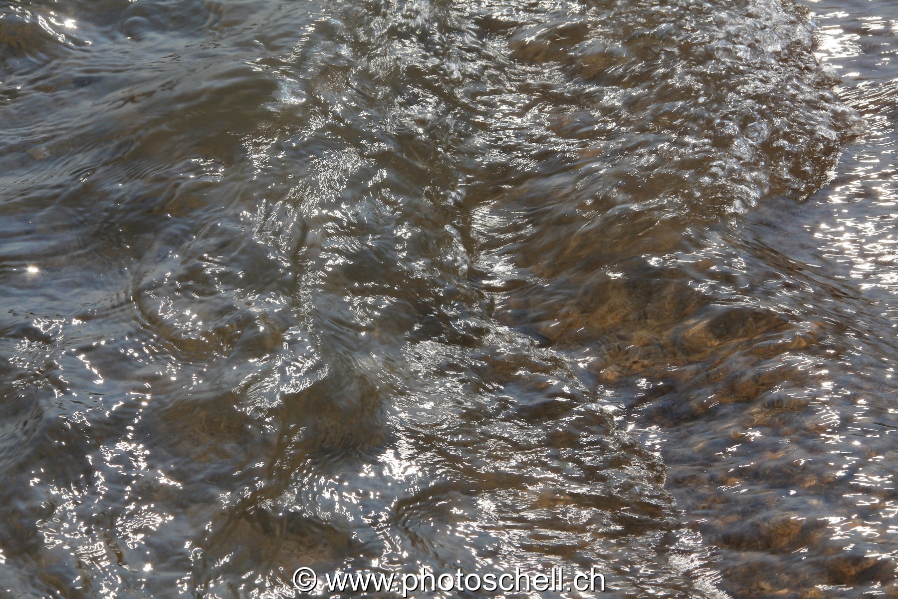 Reflets du soleil dans l'eau
