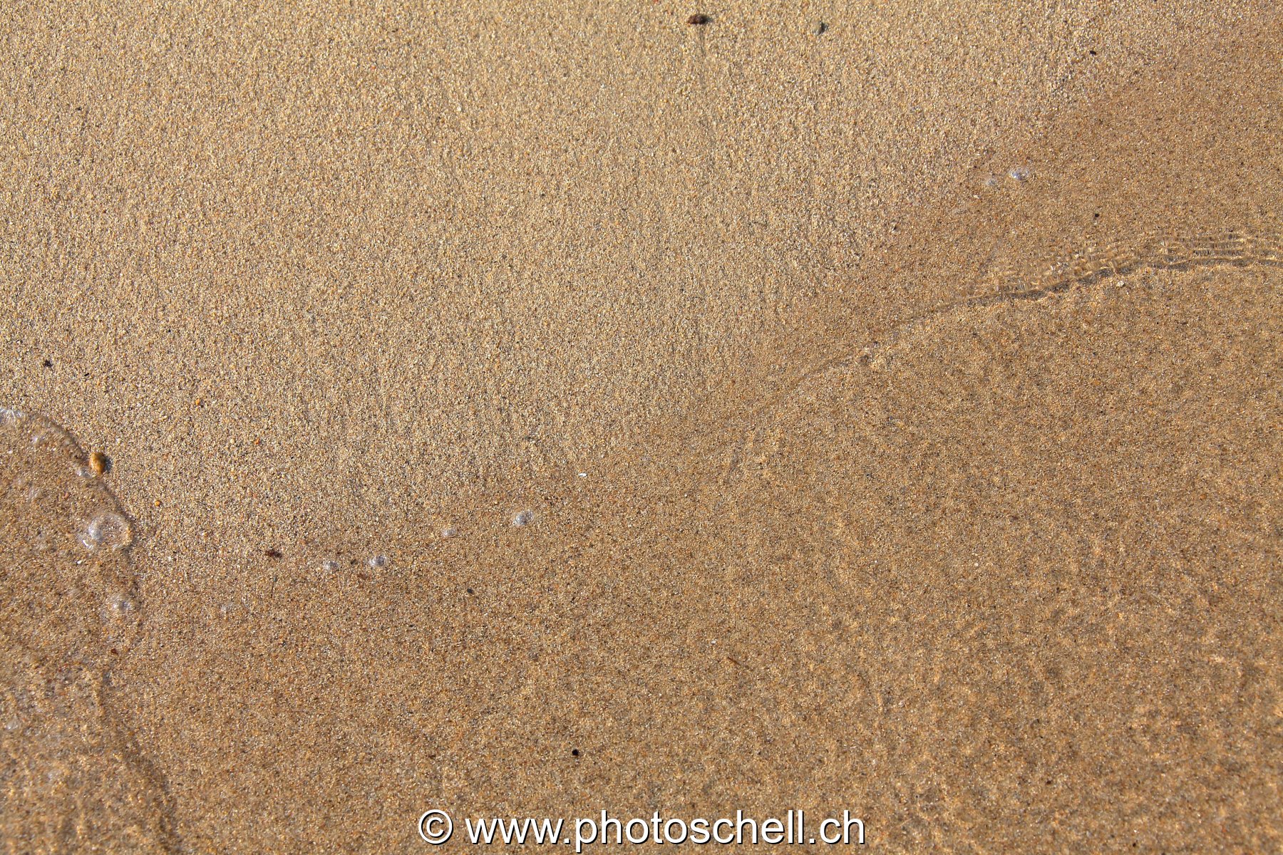Petites vagues sur le sable