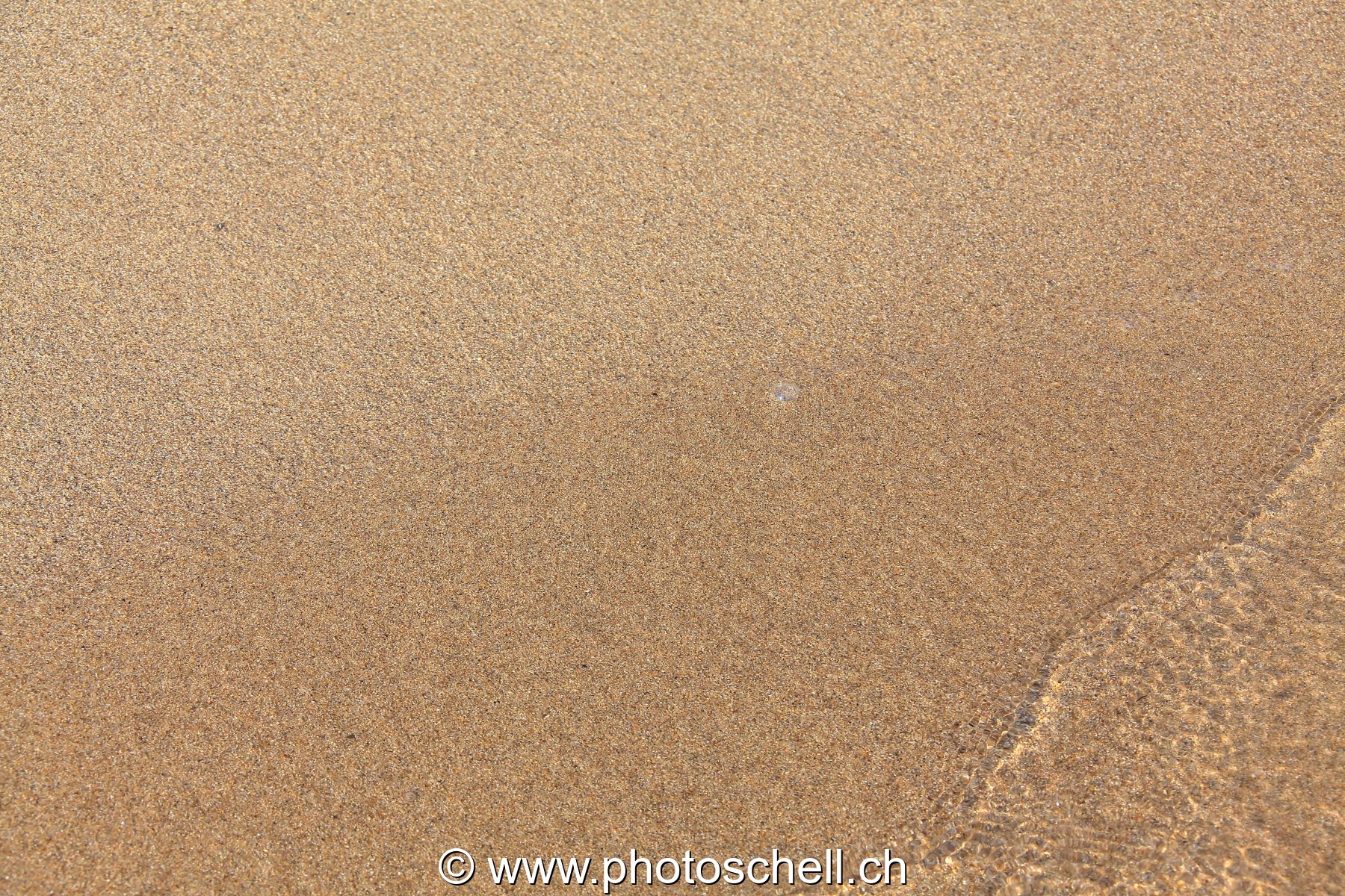 Petites vagues sur le sable