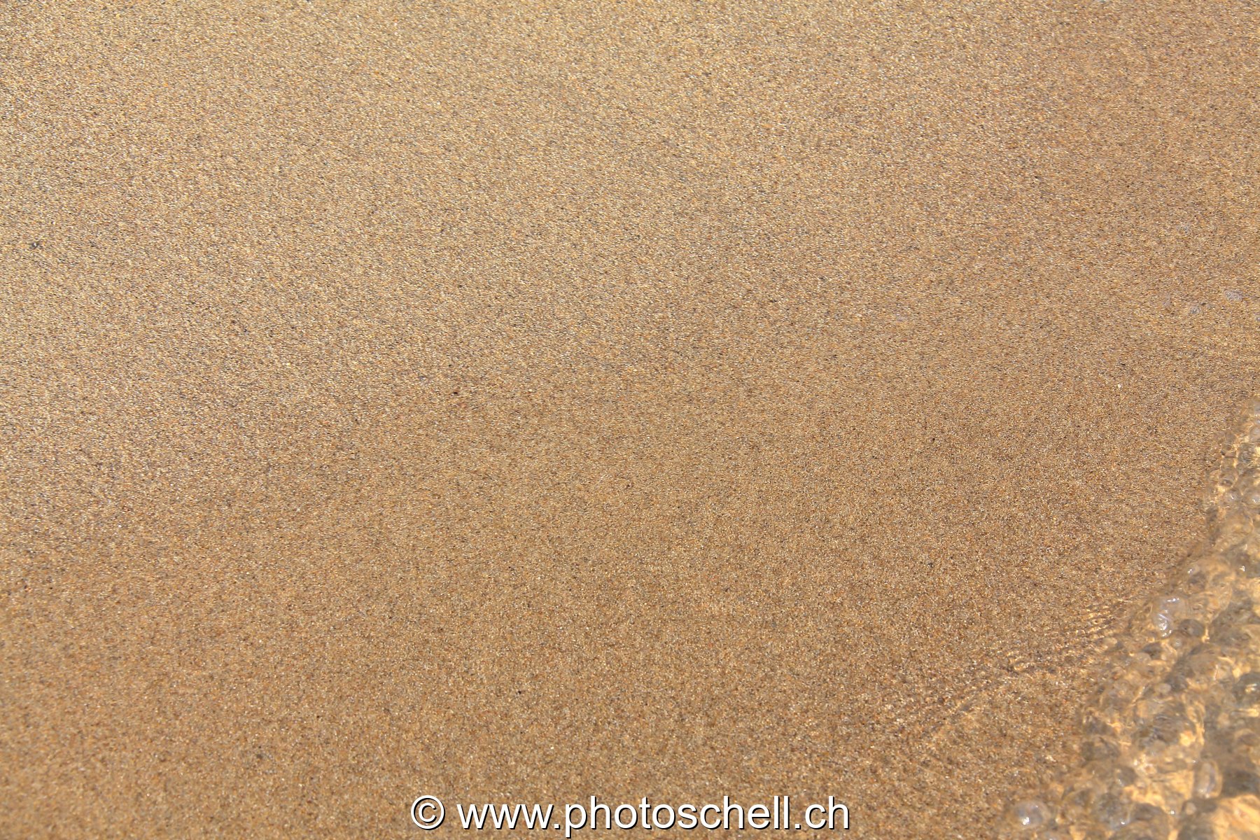 Petites vagues sur le sable