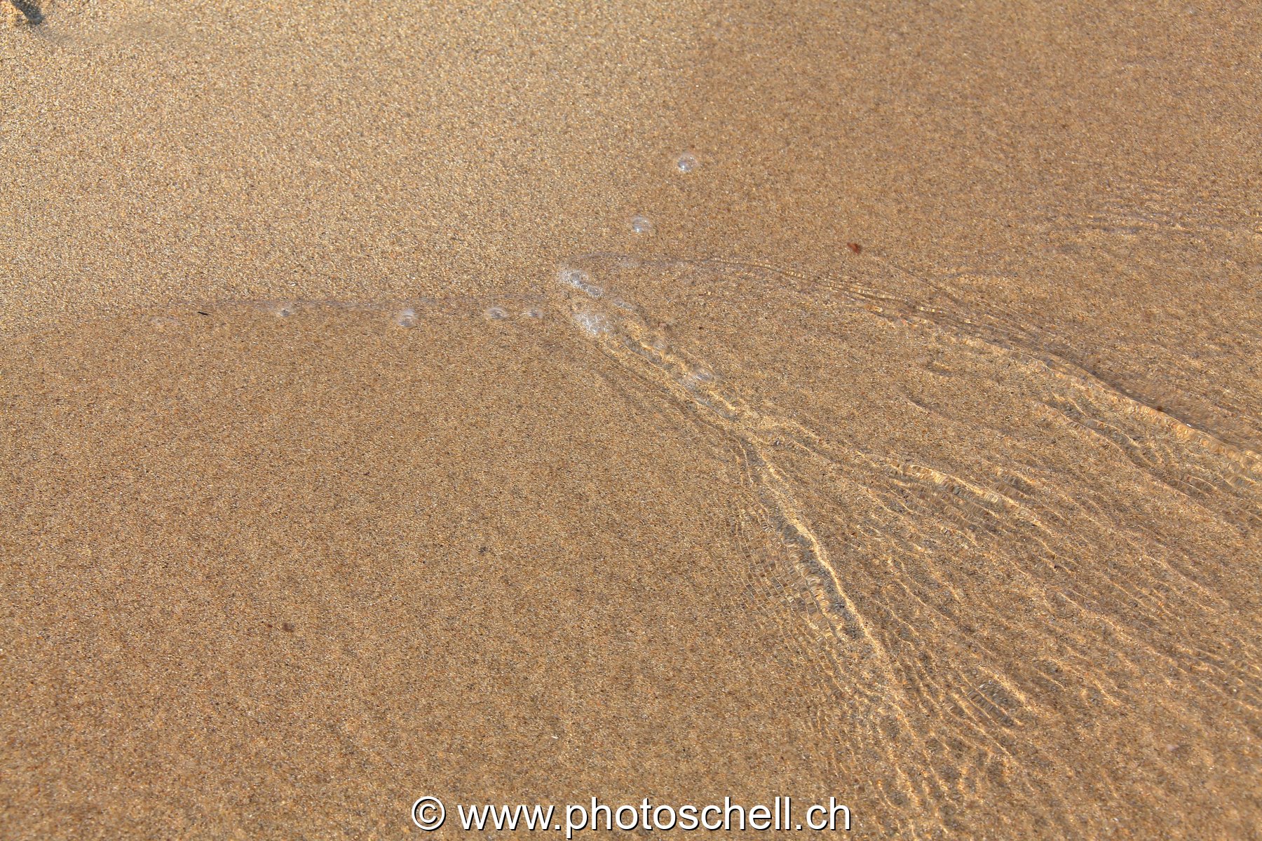 Petites vagues sur le sable
