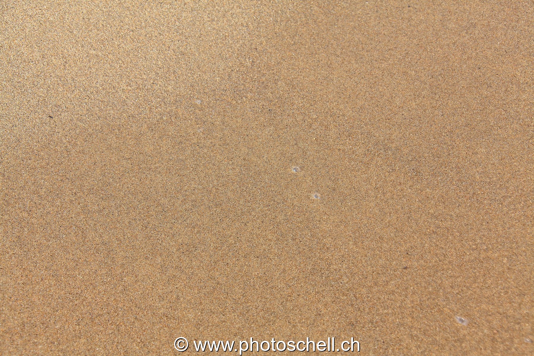 Petites vagues sur le sable