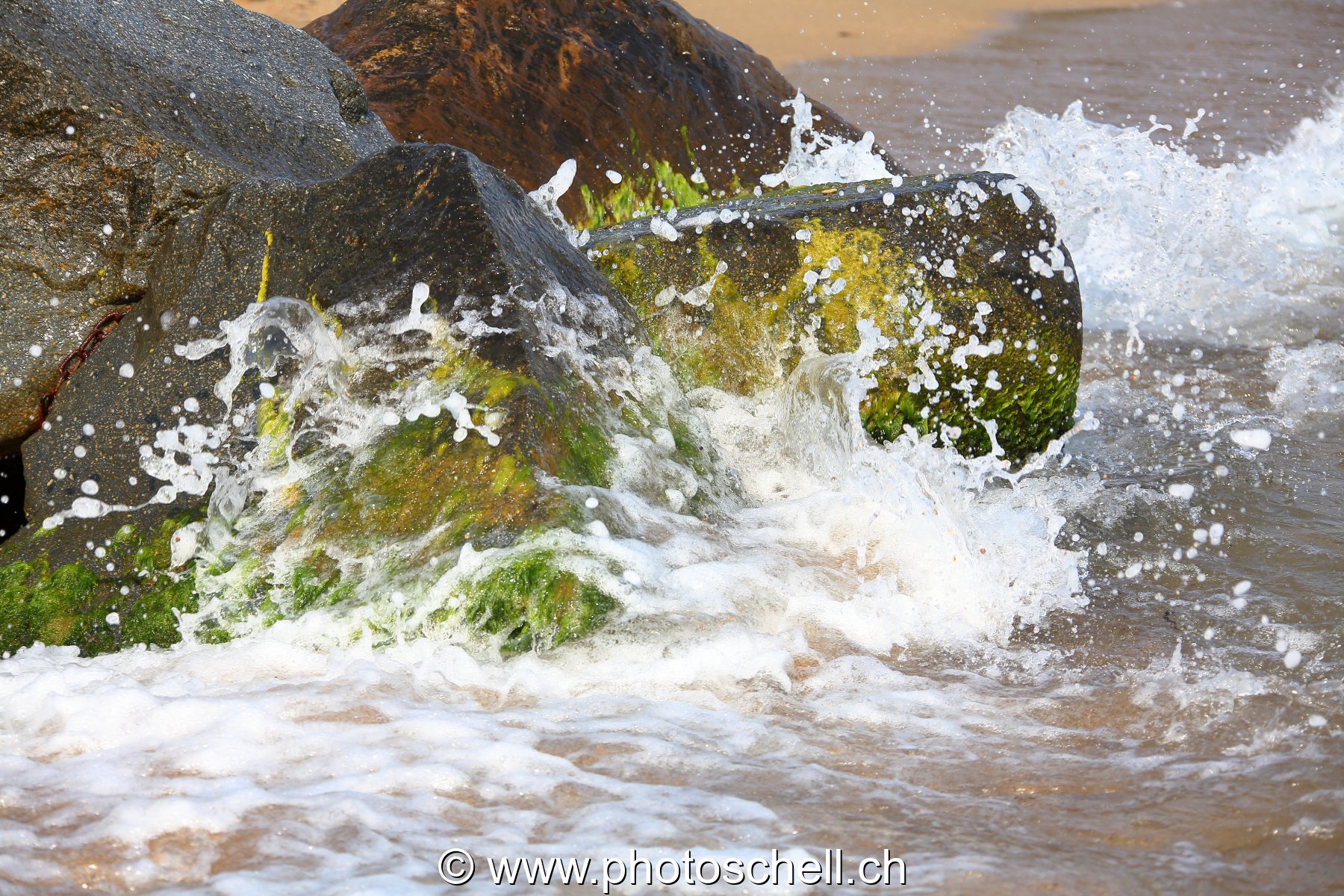 Petits rochers avec des algues frappés par les vagues