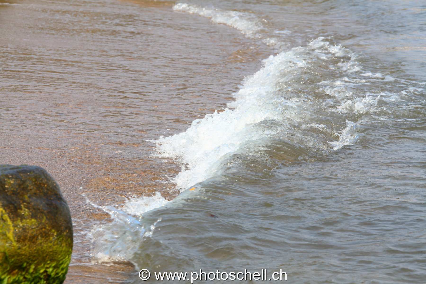 Petits rochers avec des algues frappés par les vagues