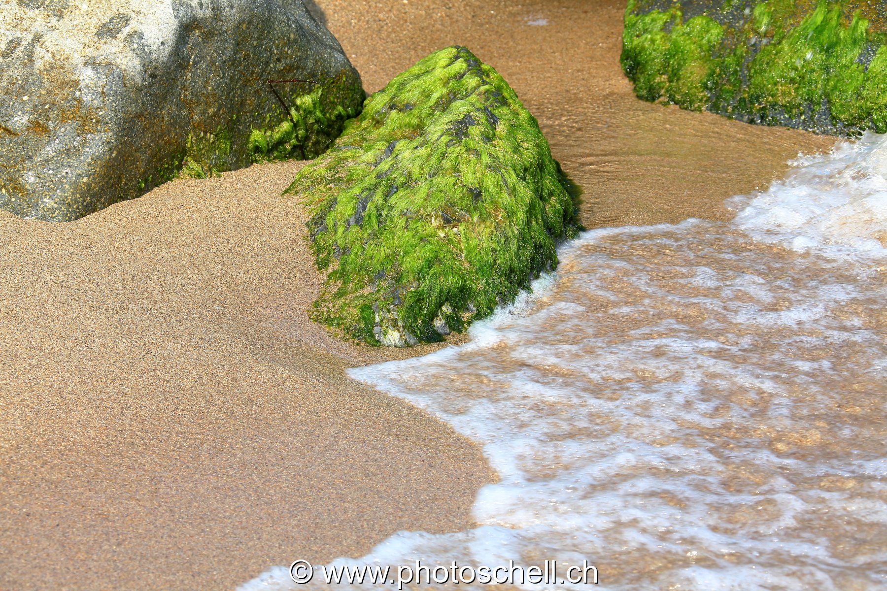 Petits rochers avec des algues frappés par les vagues
