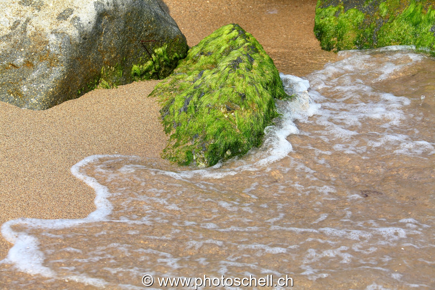 Petits rochers avec des algues frappés par les vagues