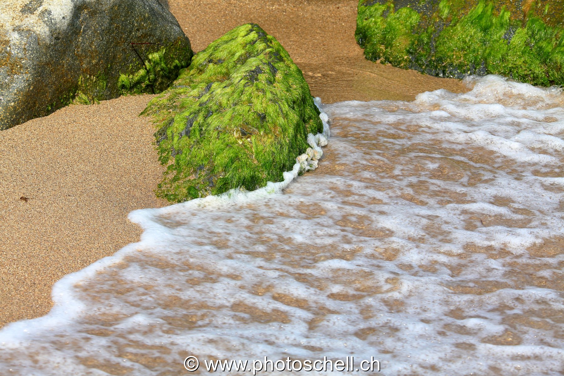 Petits rochers avec des algues frappés par les vagues
