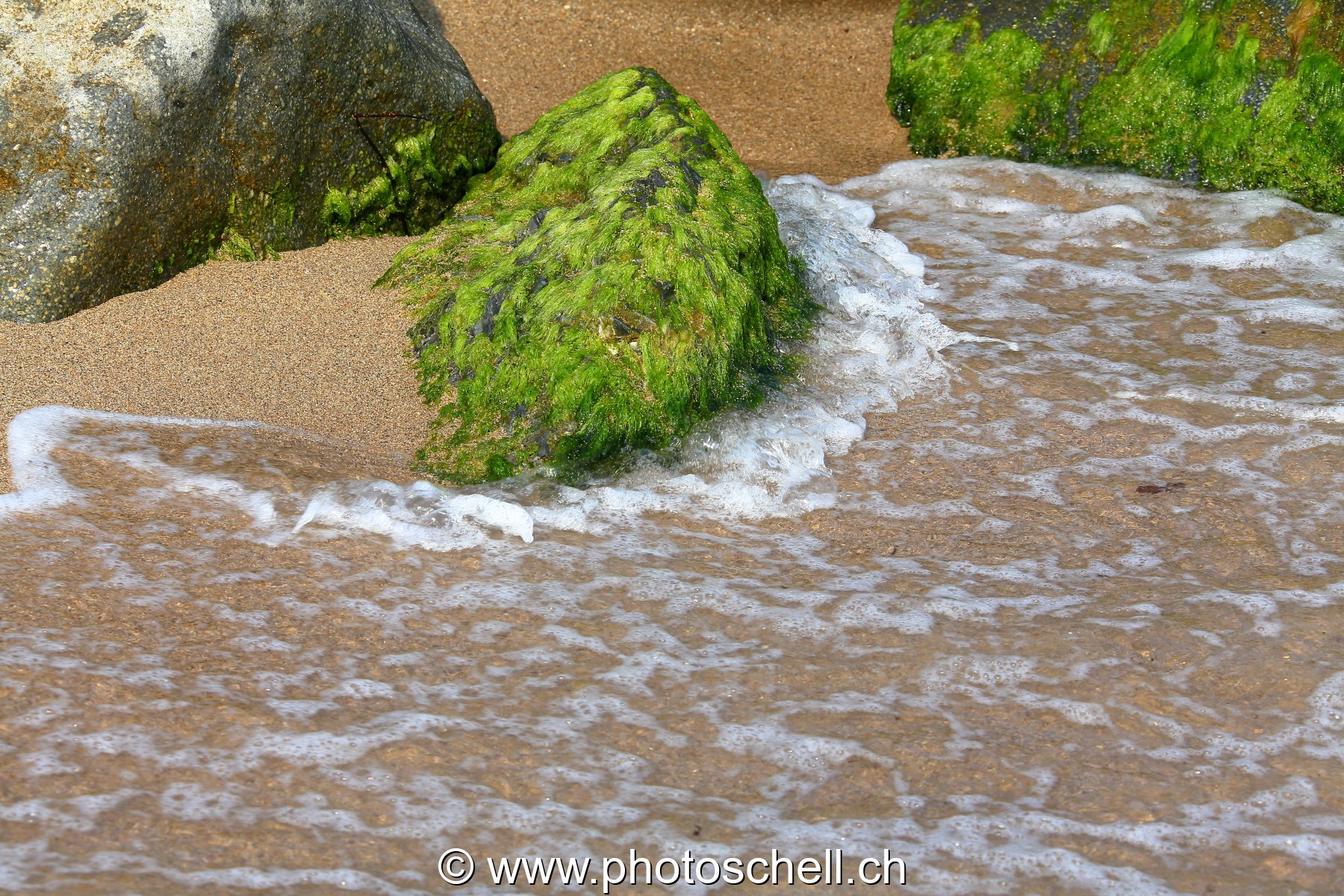 Petits rochers avec des algues frappés par les vagues