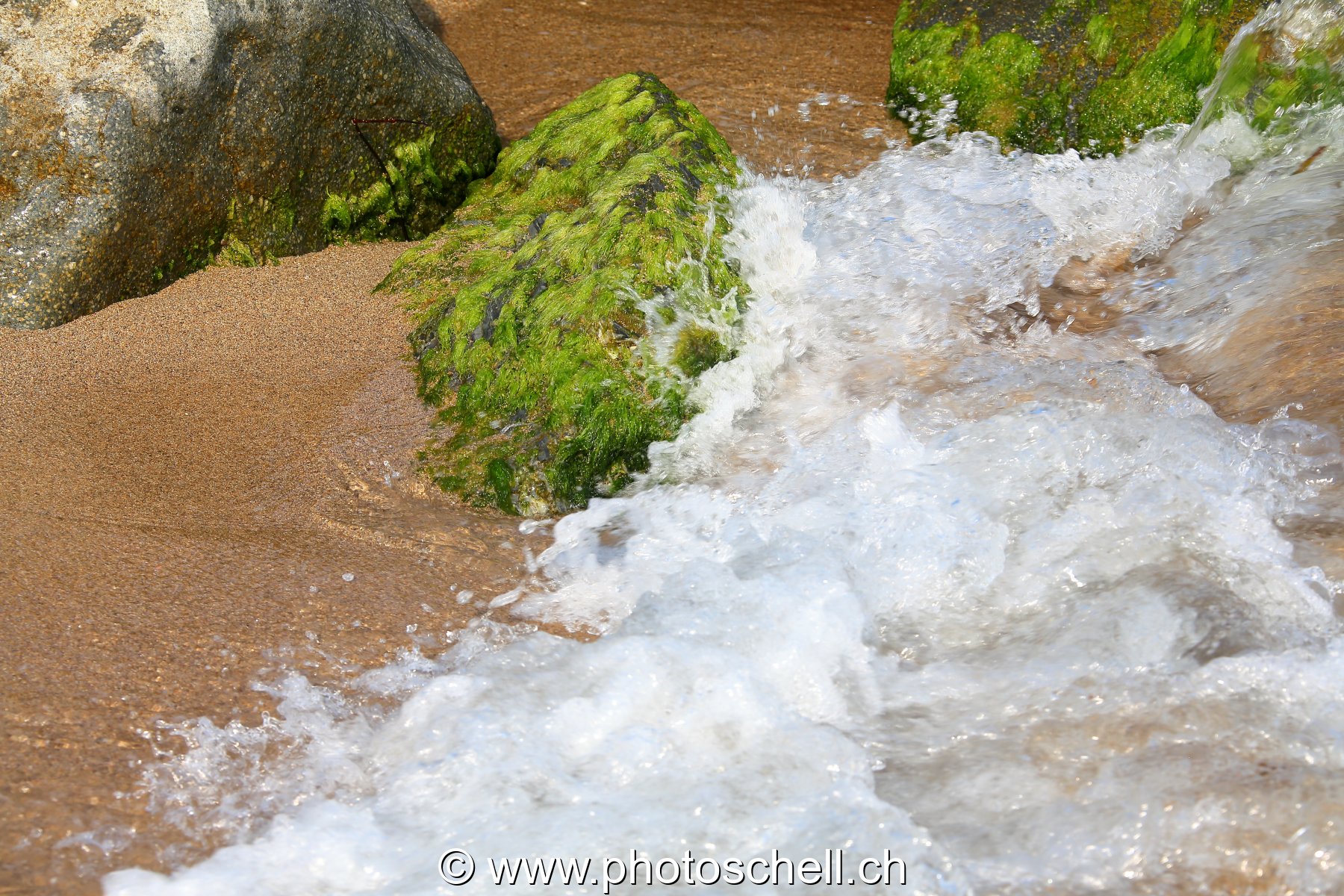 Petits rochers avec des algues frappés par les vagues