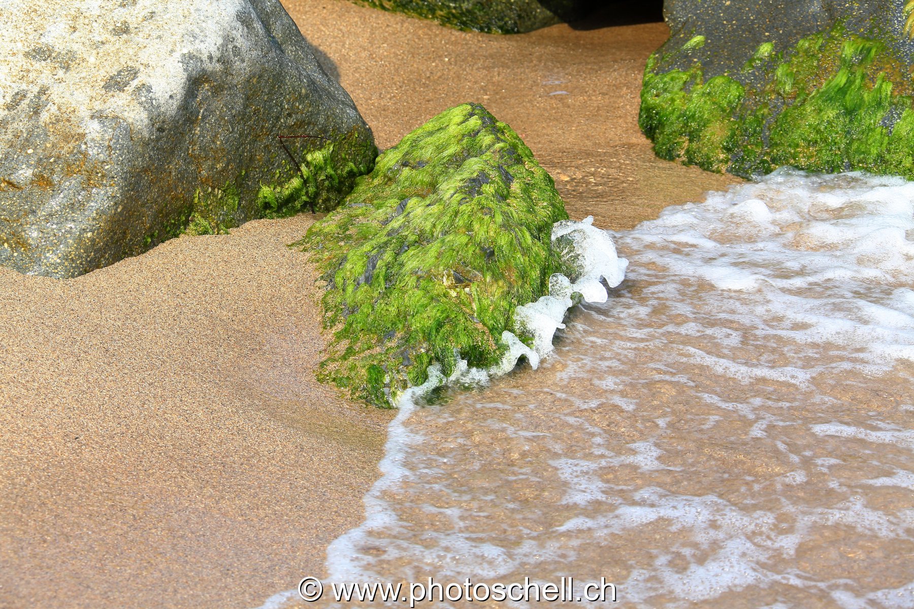 Petits rochers avec des algues frappés par les vagues