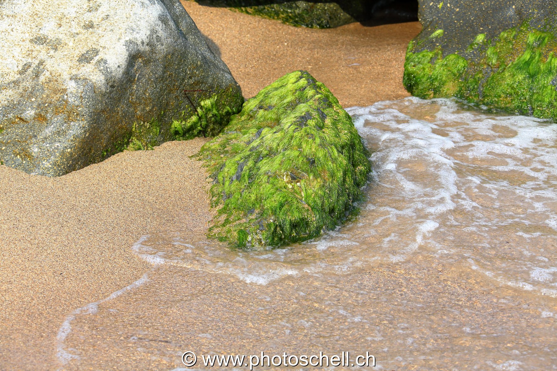 Petits rochers avec des algues frappés par les vagues