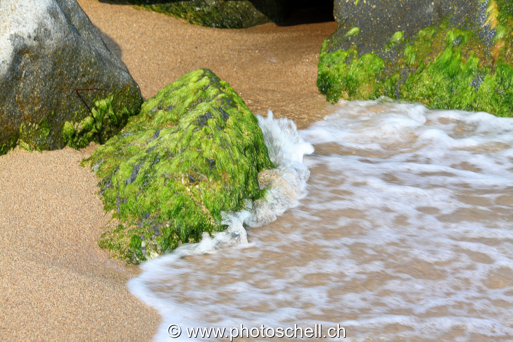 Petits rochers avec des algues frappés par les vagues