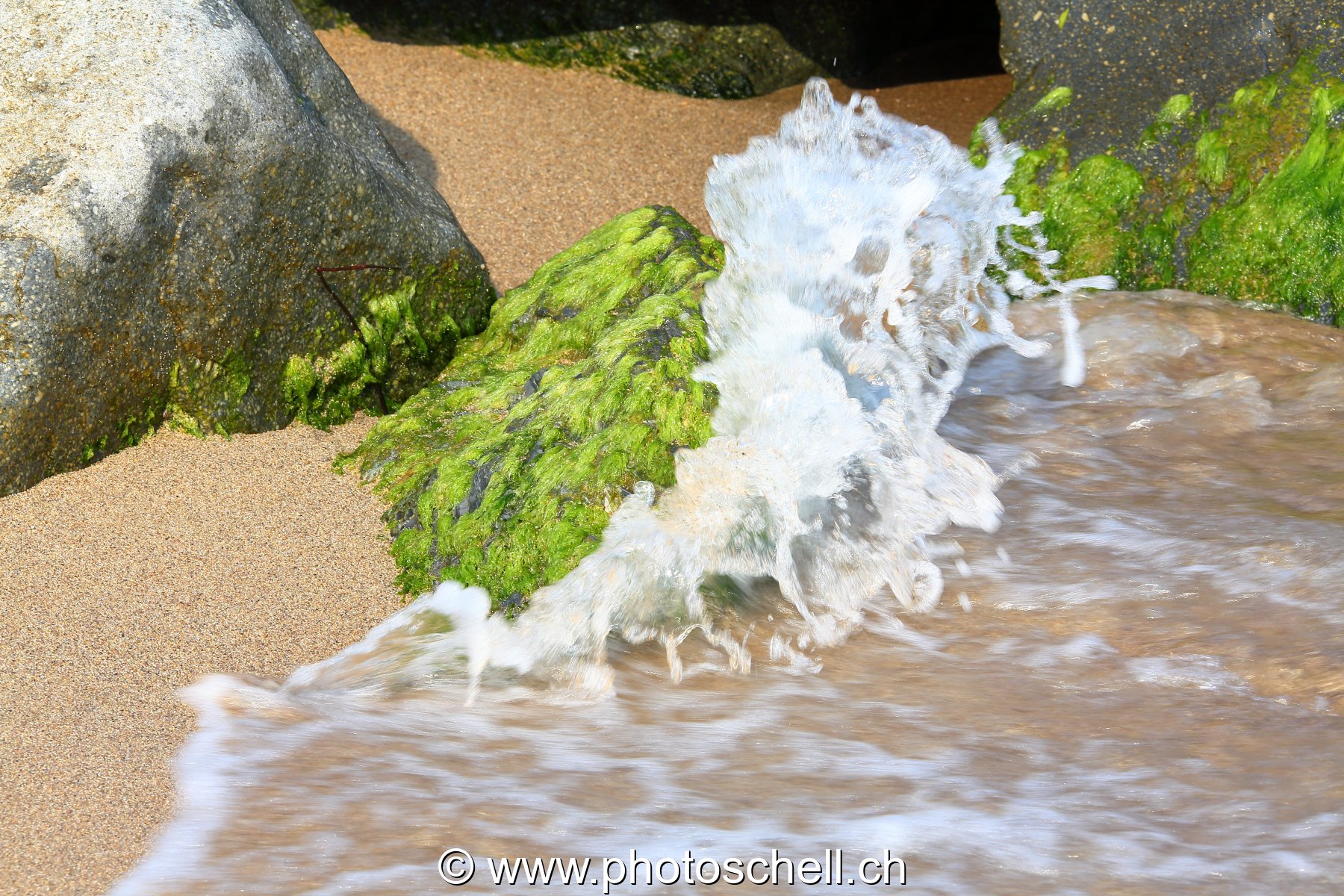 Petits rochers avec des algues frappés par les vagues