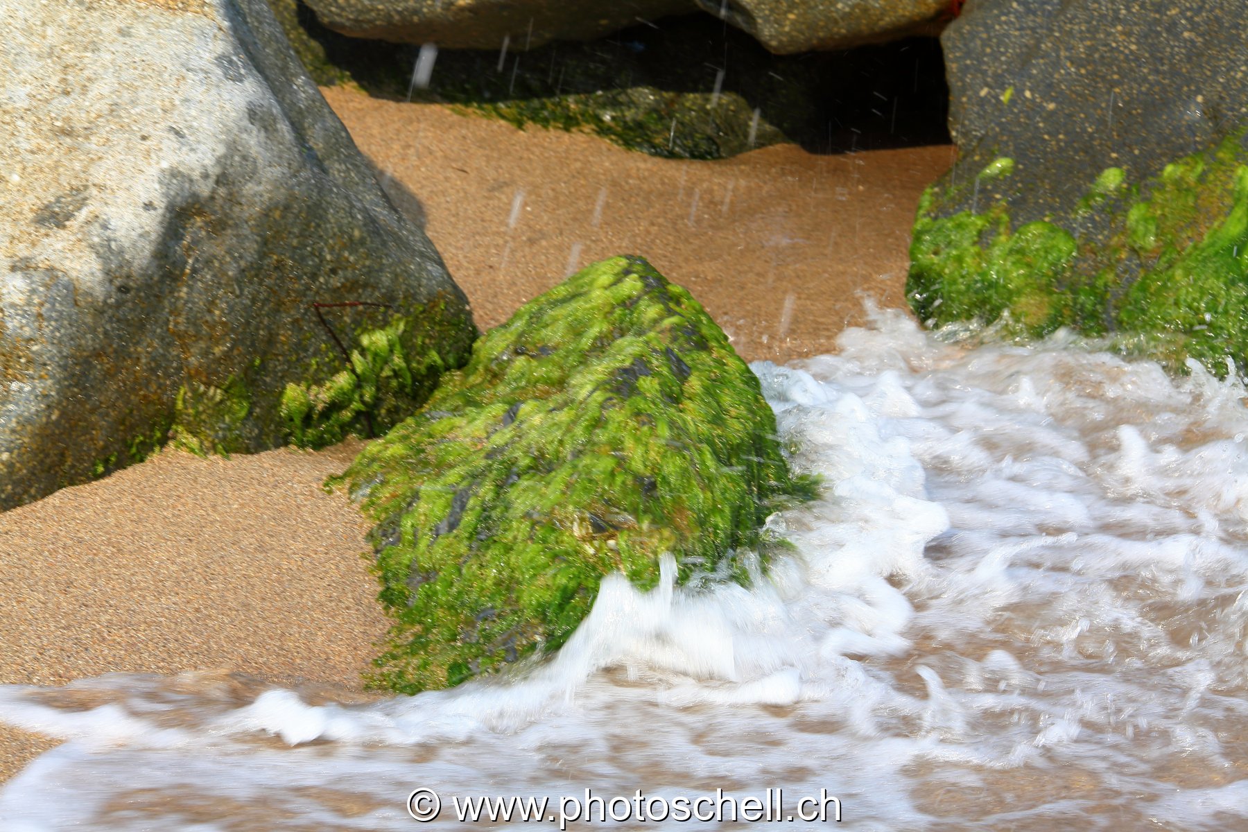Petits rochers avec des algues frappés par les vagues