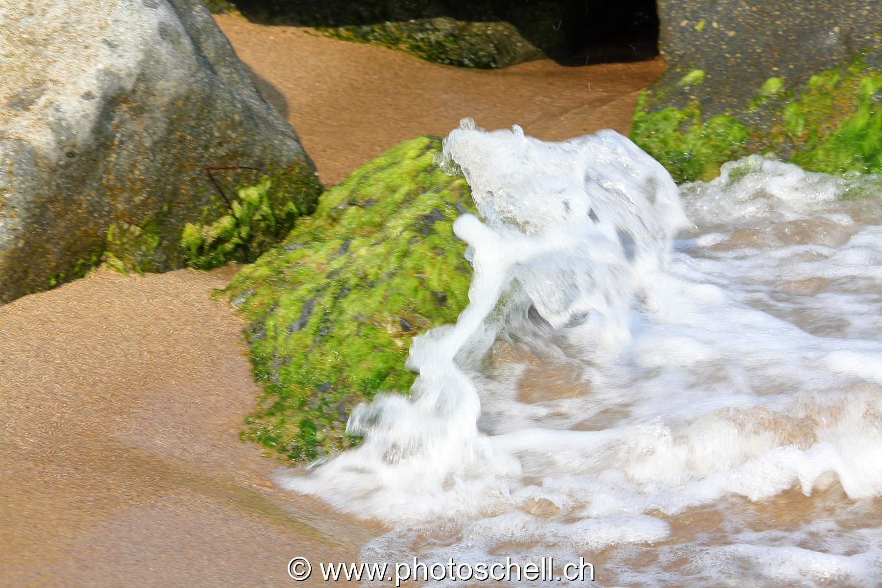 Petits rochers avec des algues frappés par les vagues