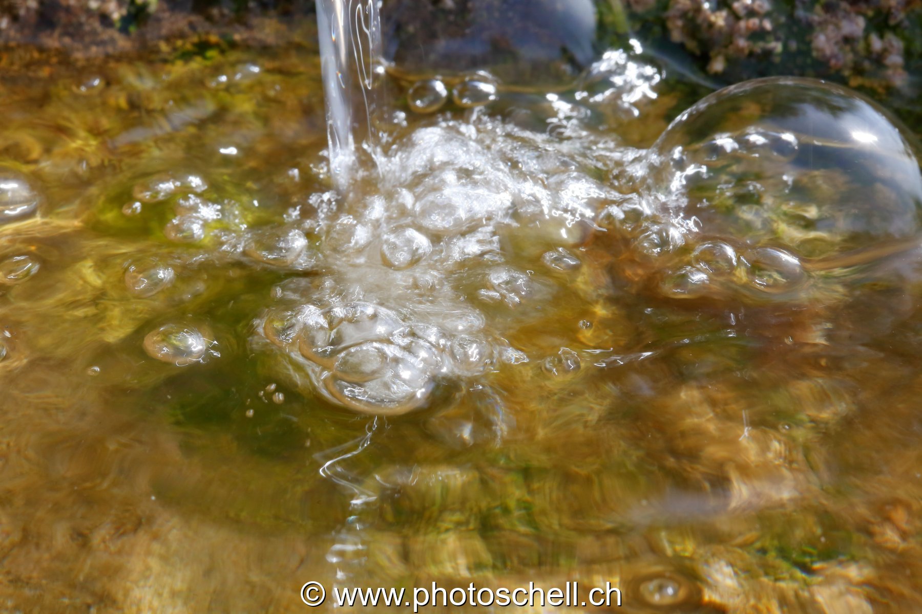 Bulles d'eau