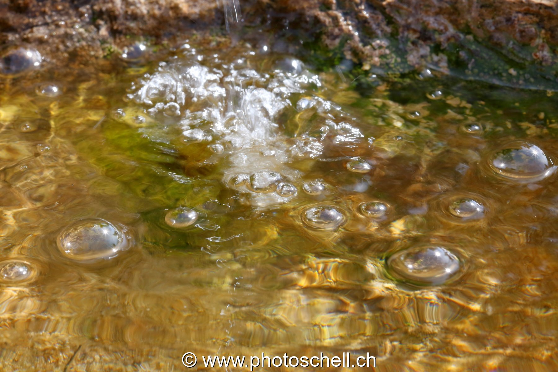 Bulles d'eau
