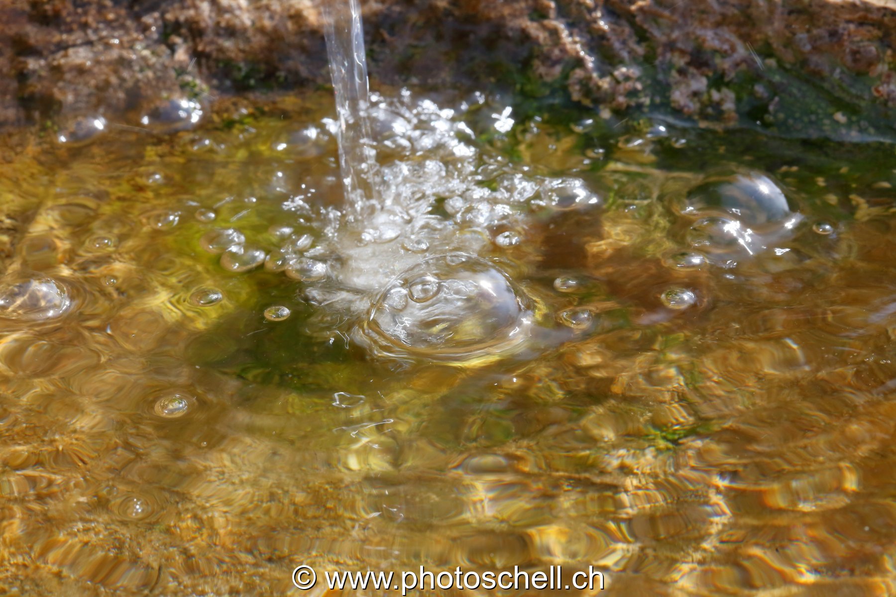 Bulles d'eau