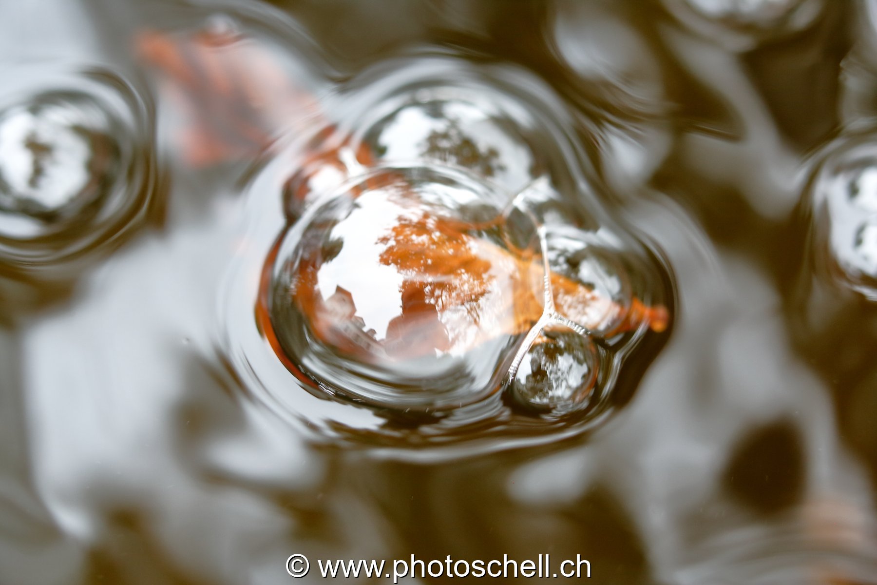 Bulles d'eau