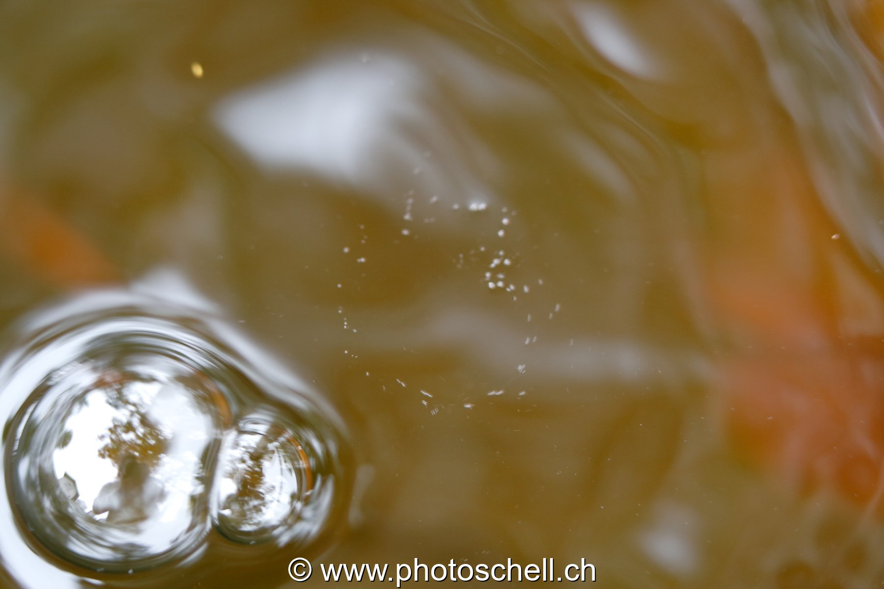 Bulles d'eau
