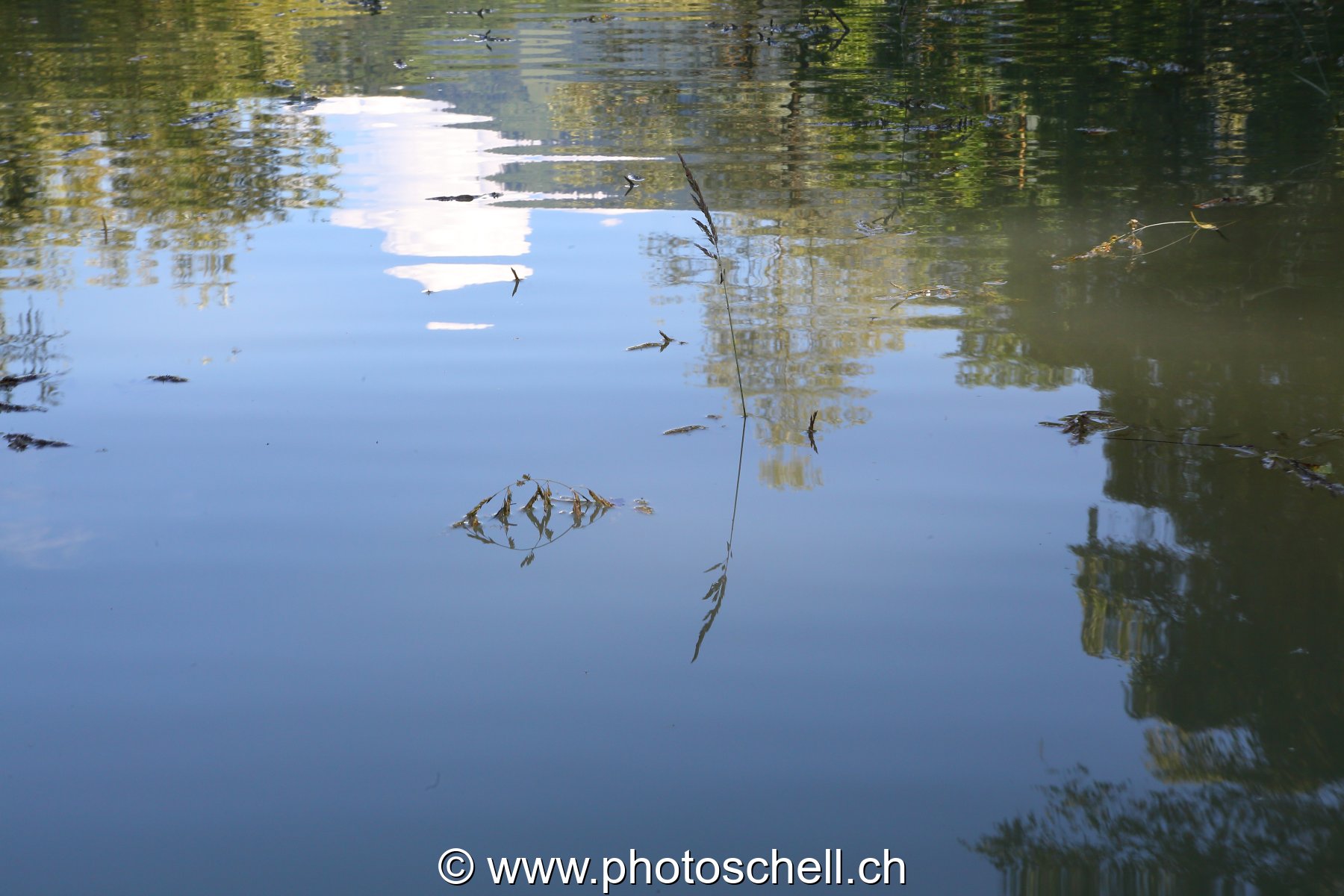 Reflets dans l'eau
