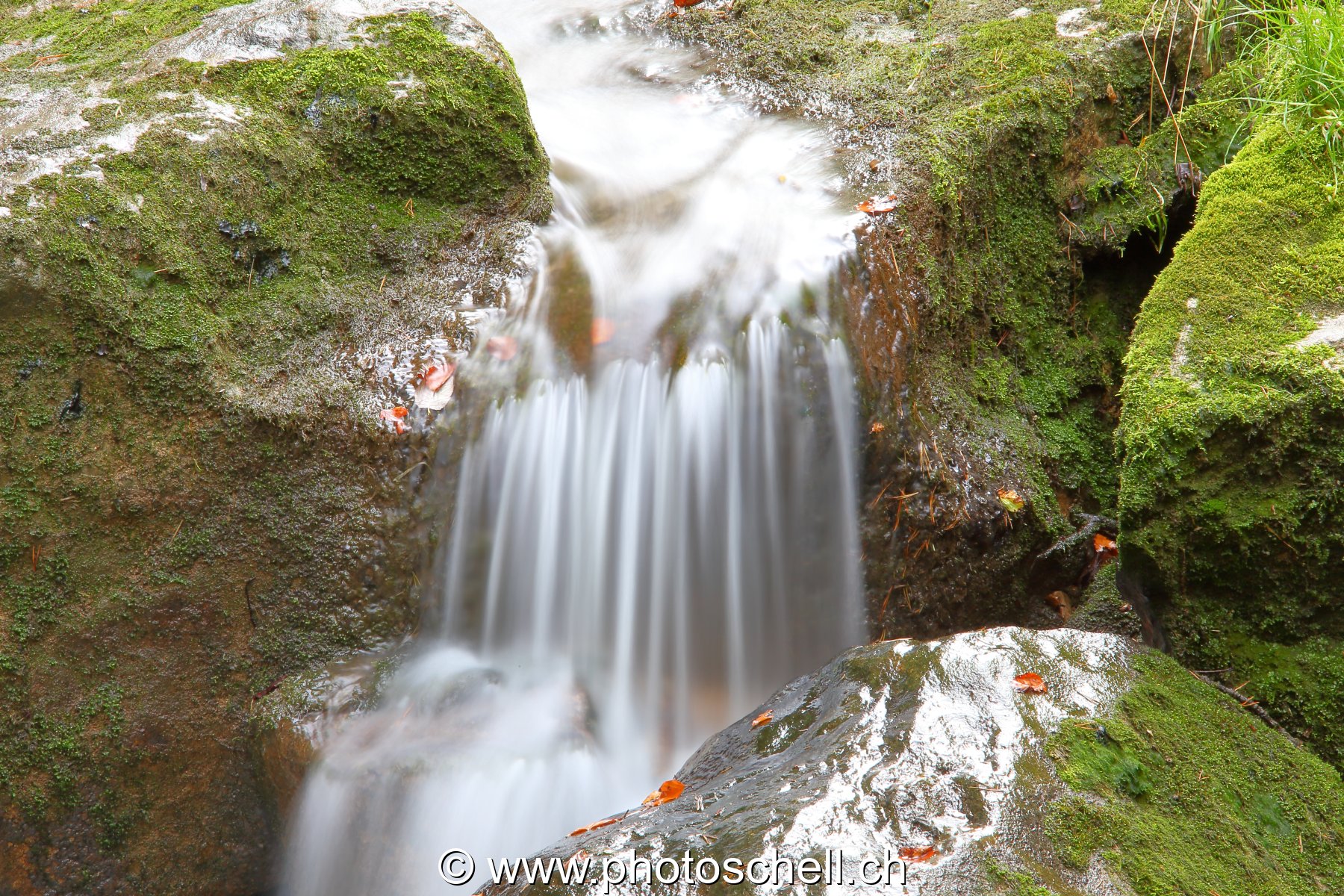 Cascade