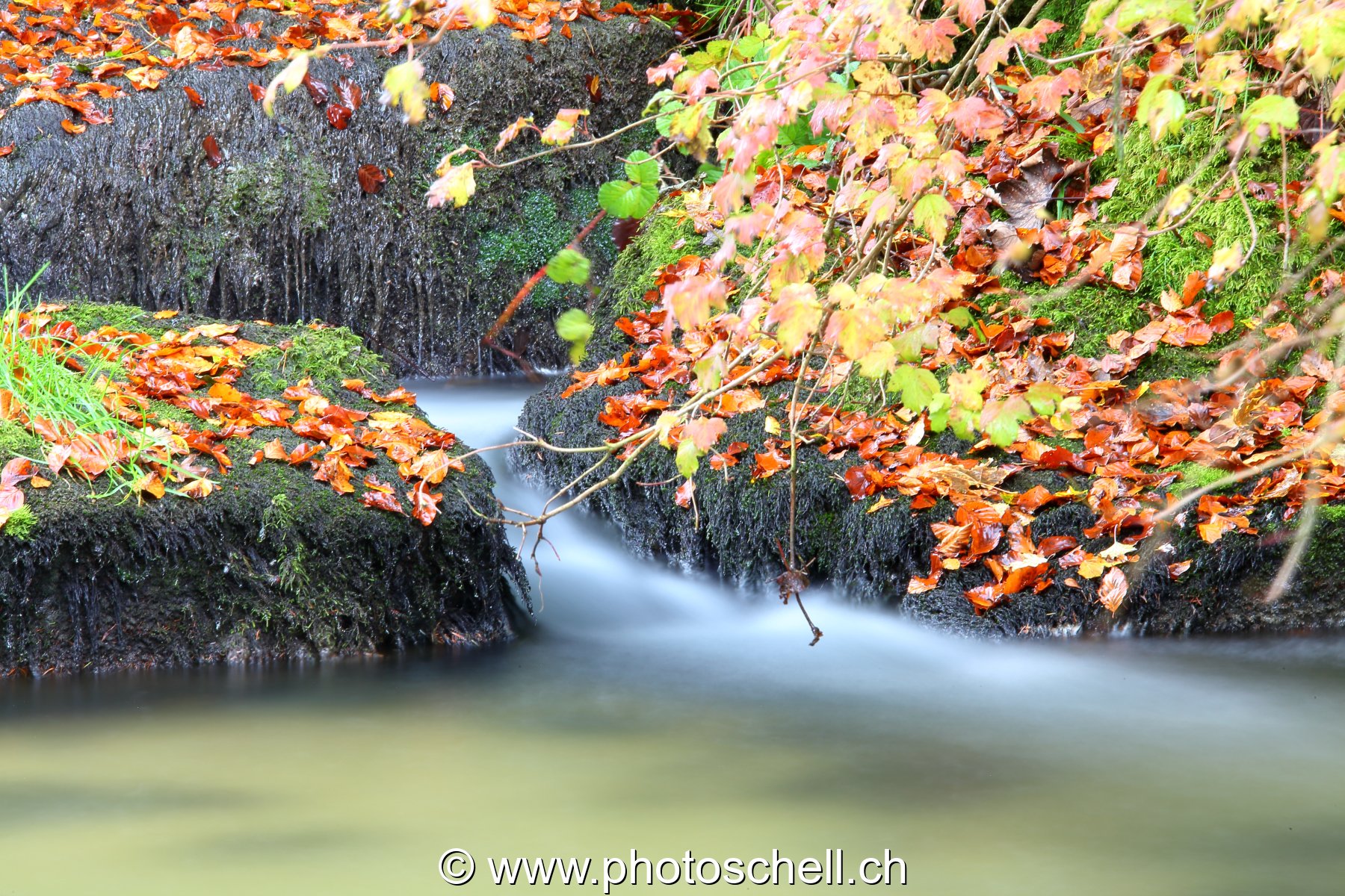 Cascade
