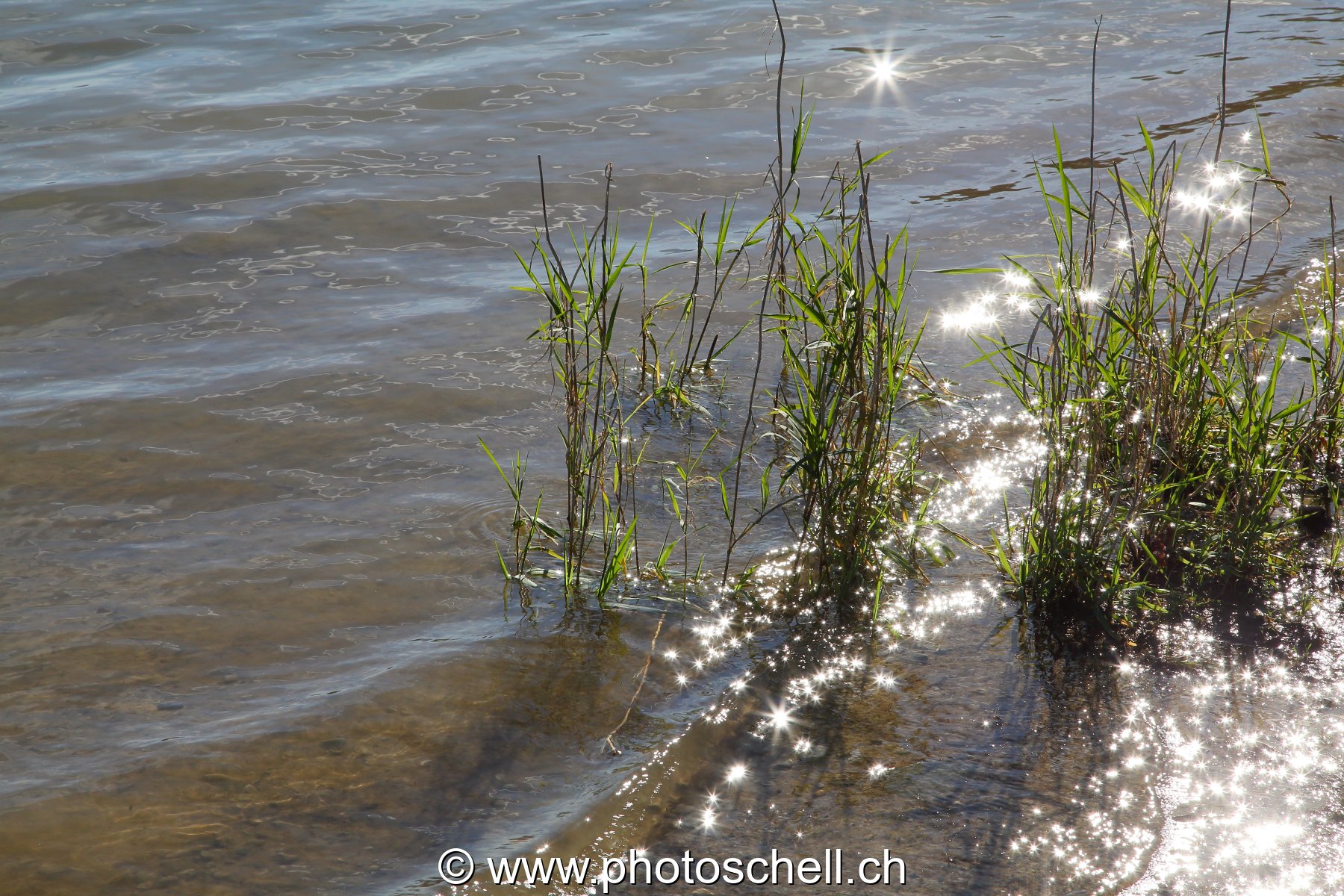 Vaguelettes sur les berges du lac de la Gruyère