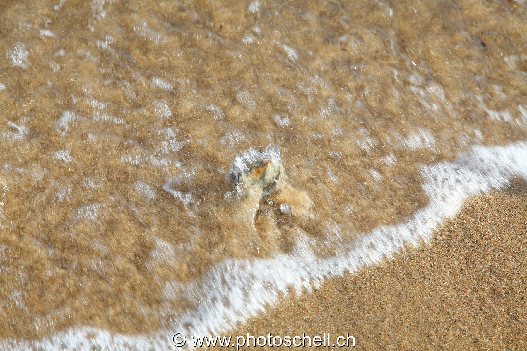 Vaguelettes sur le sable