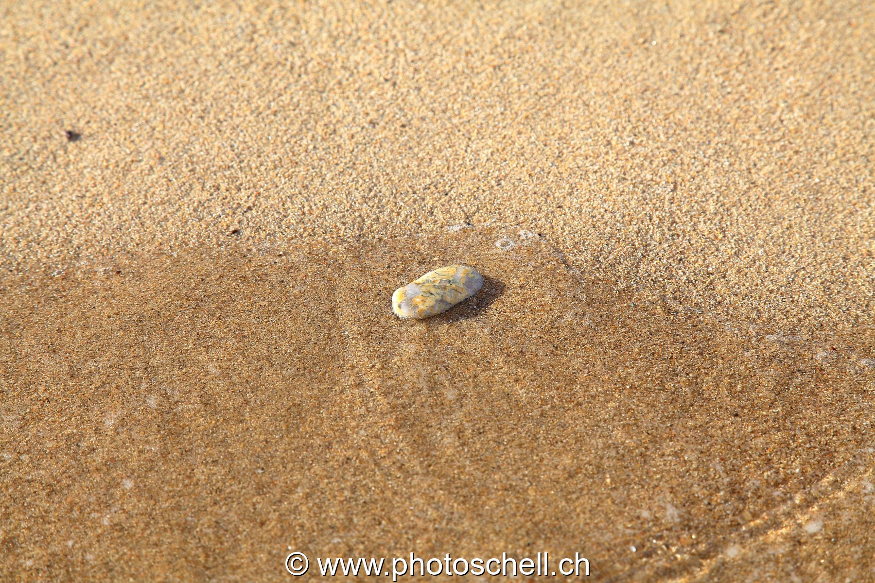 Vaguelettes sur le sable
