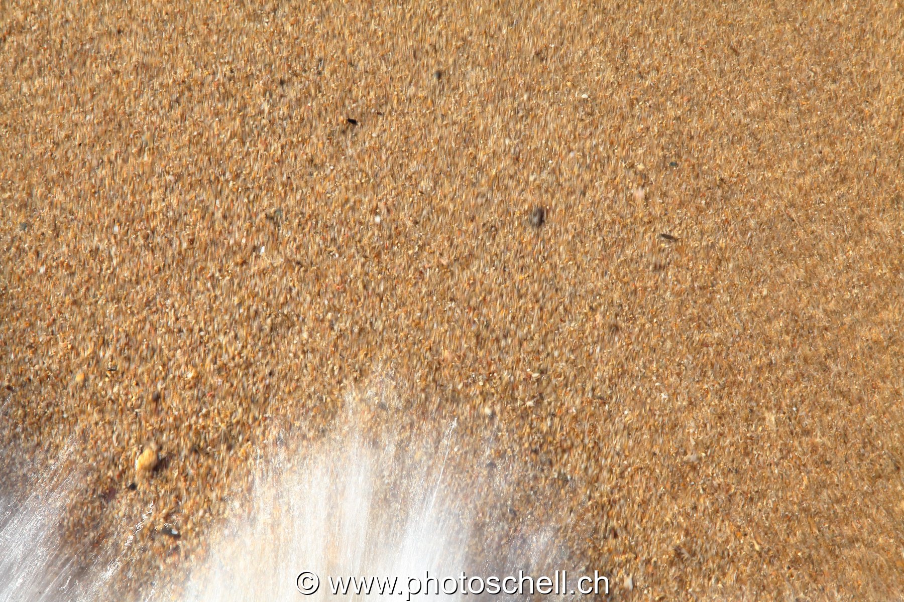 Vaguelettes sur le sable